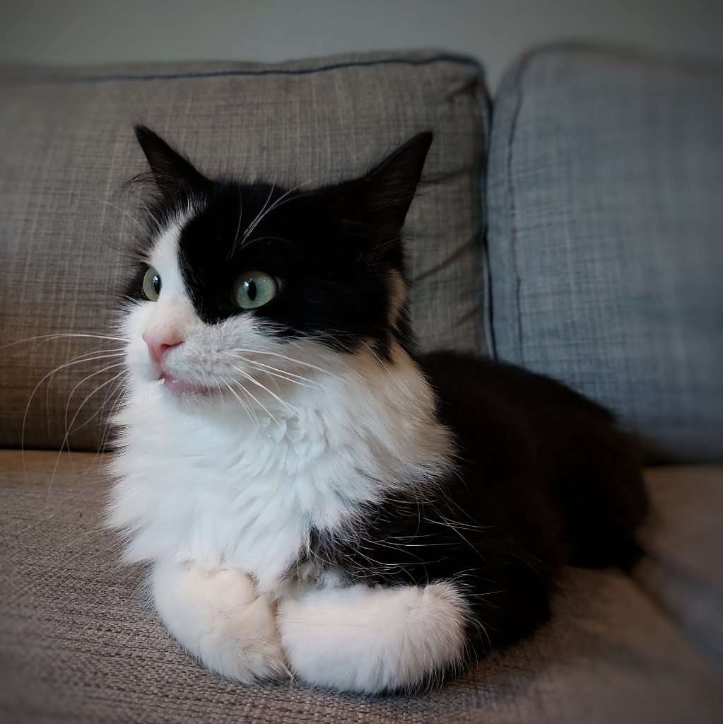 Mia 