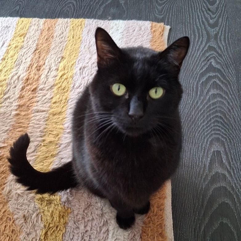 Oscar
