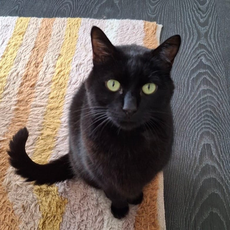 Oscar
