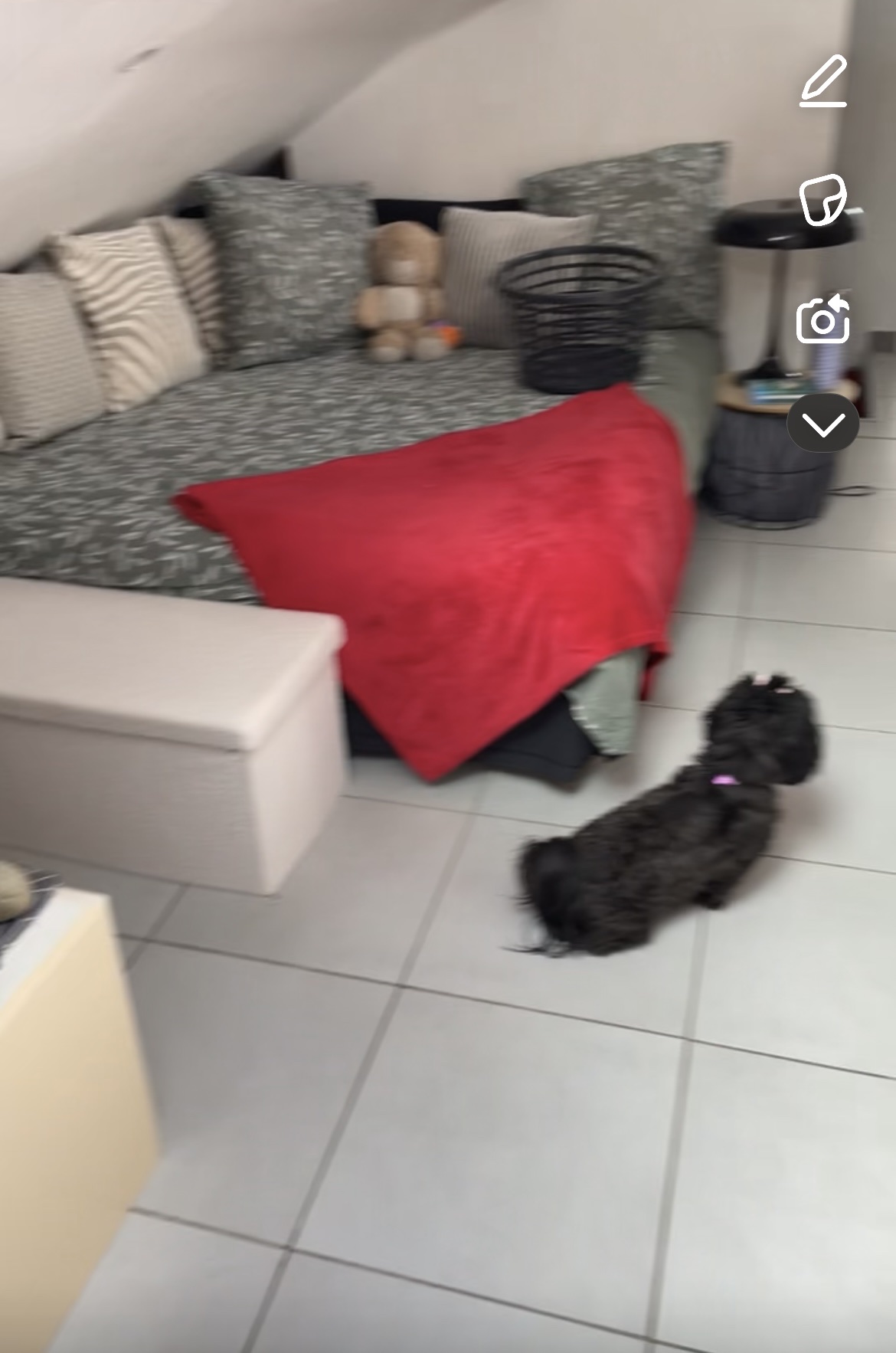 image-12