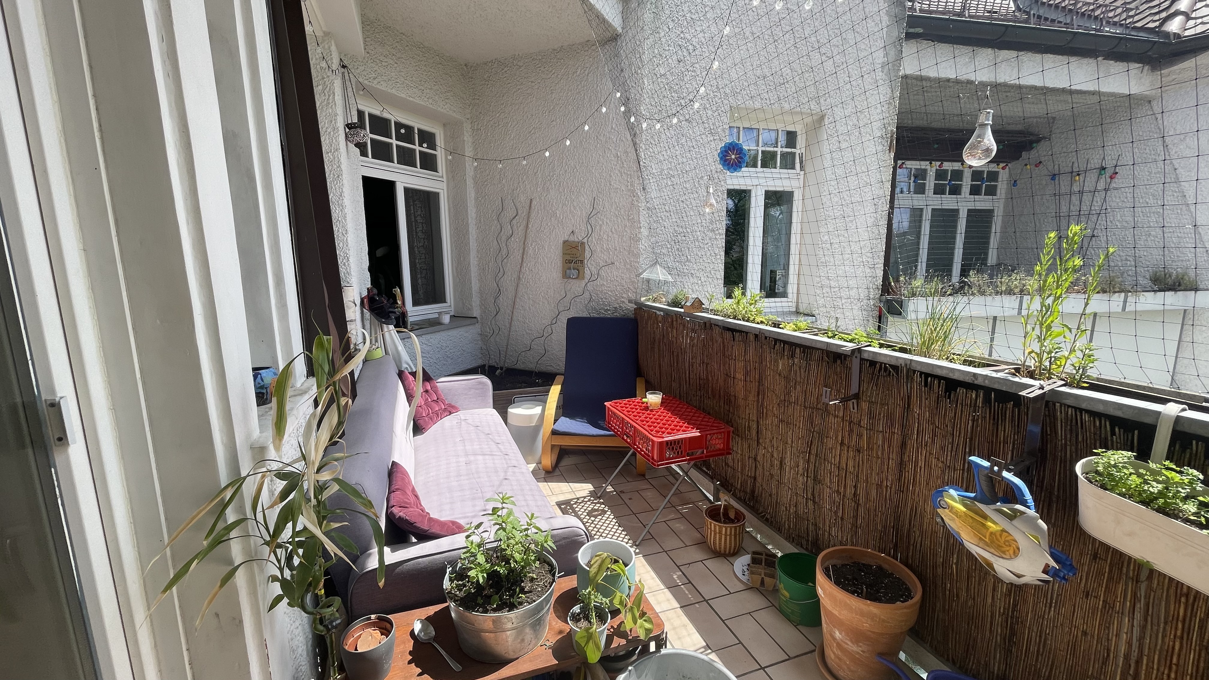 image-17