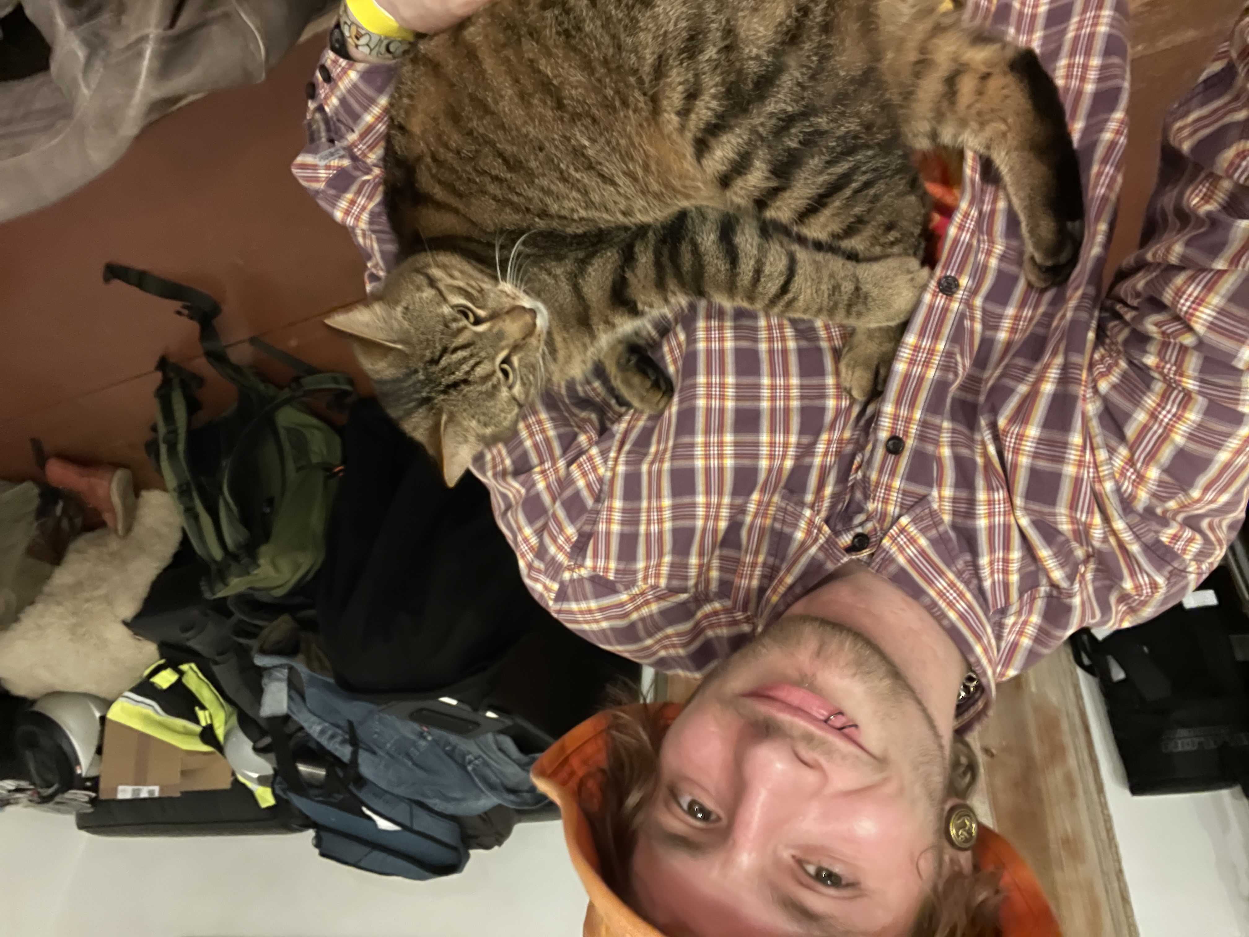 image-6