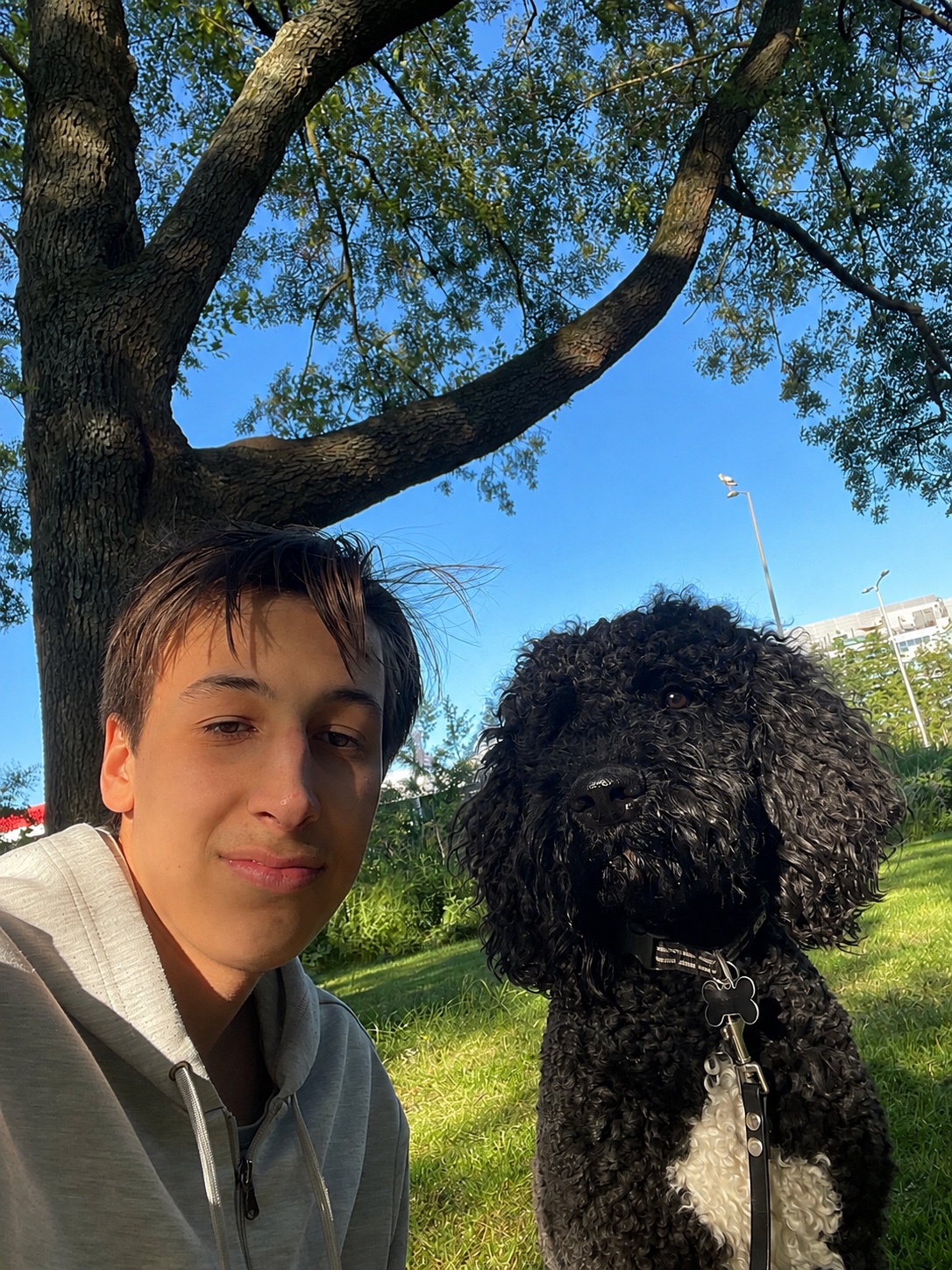 image-10