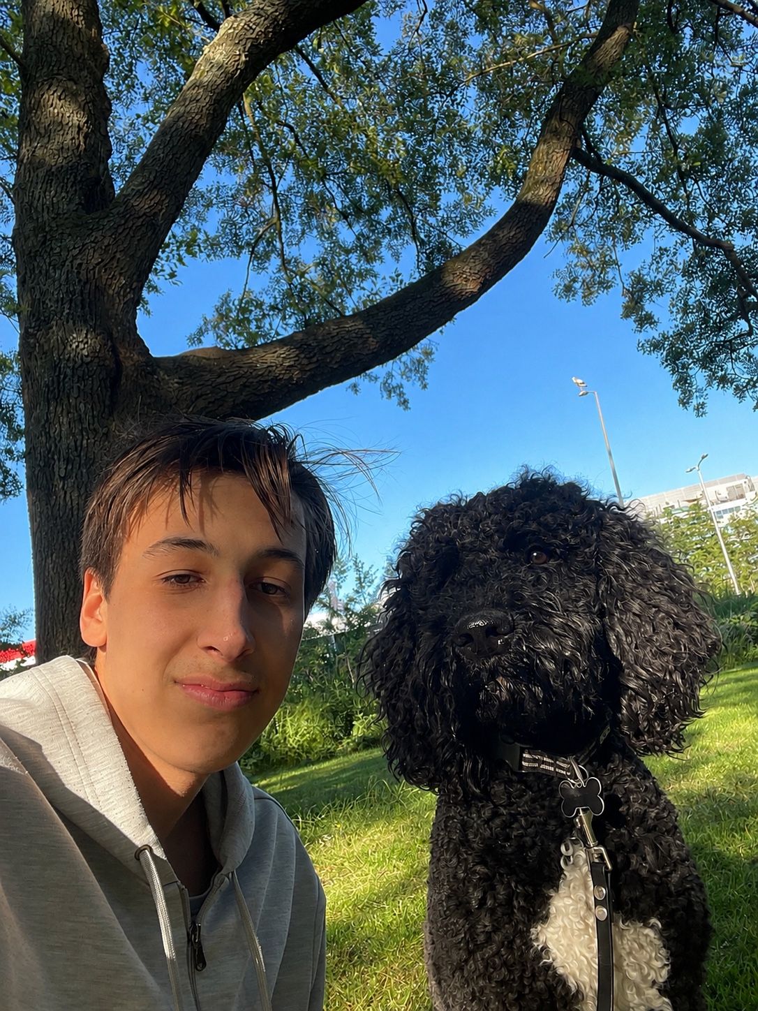 image-10