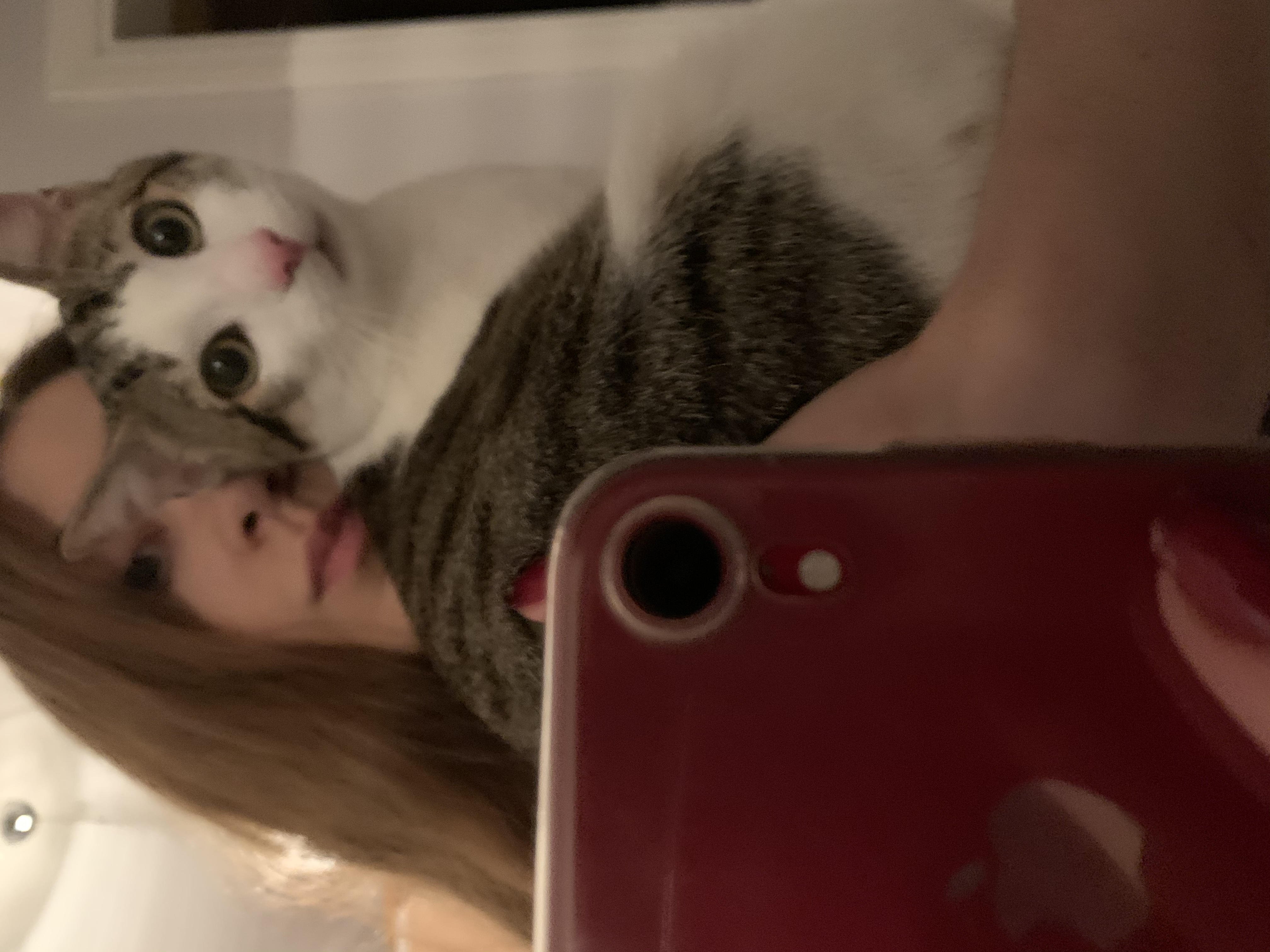 image-6
