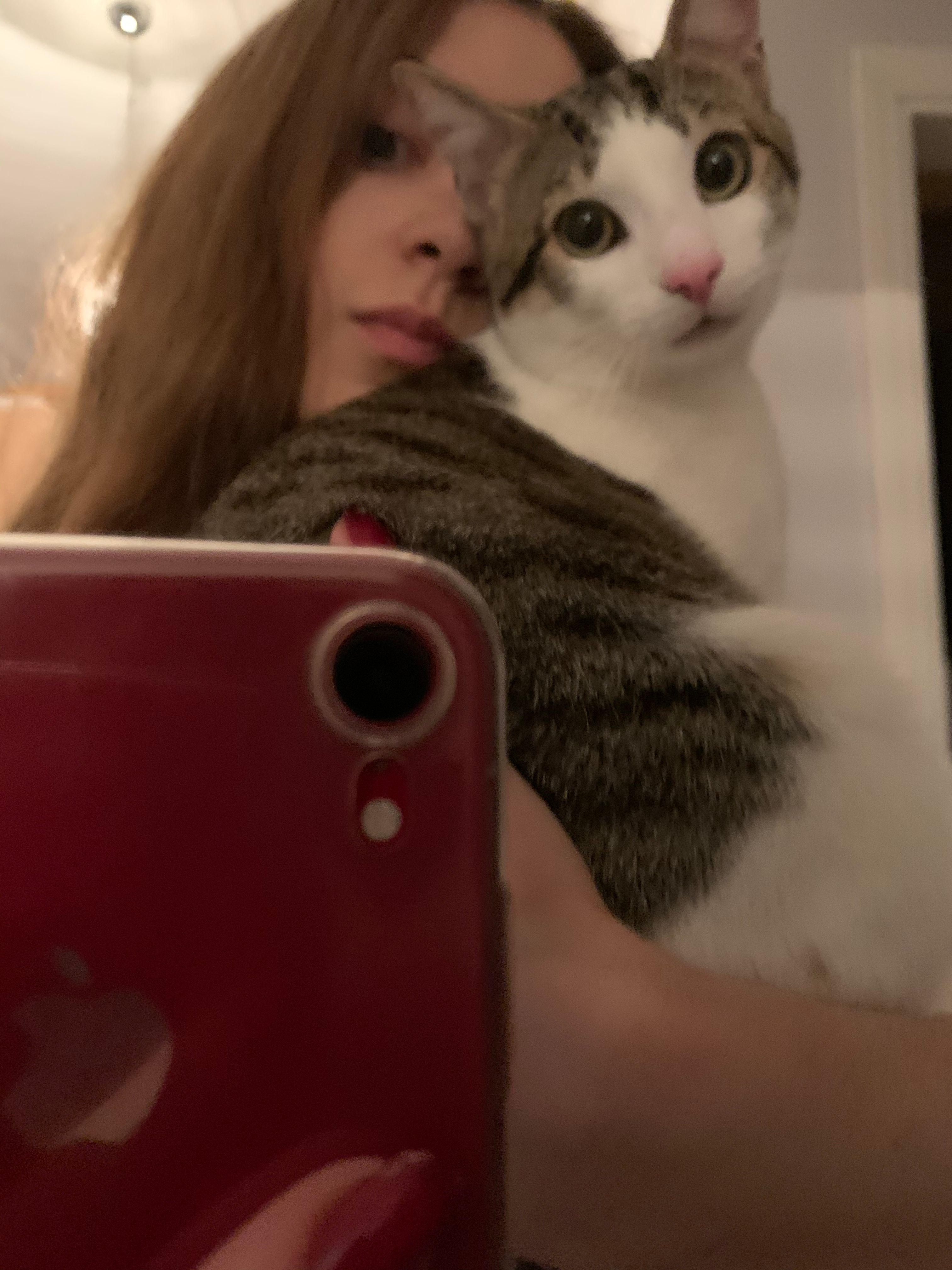 image-6