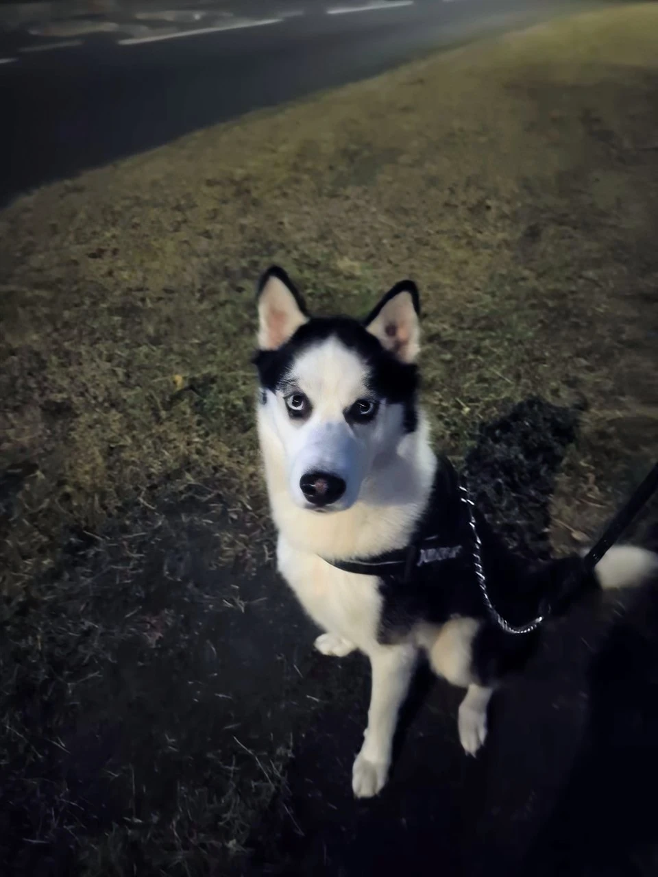 image-35