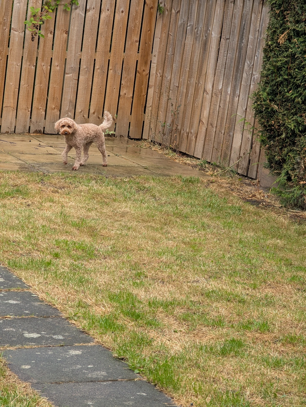 image-67