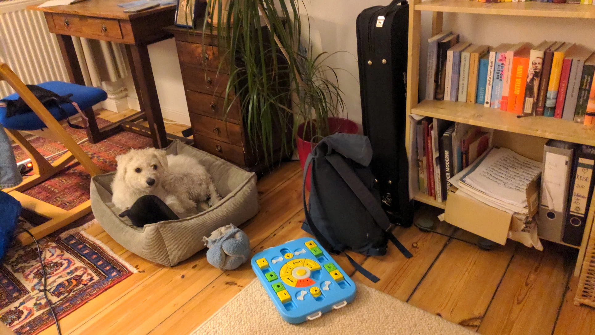 image-13