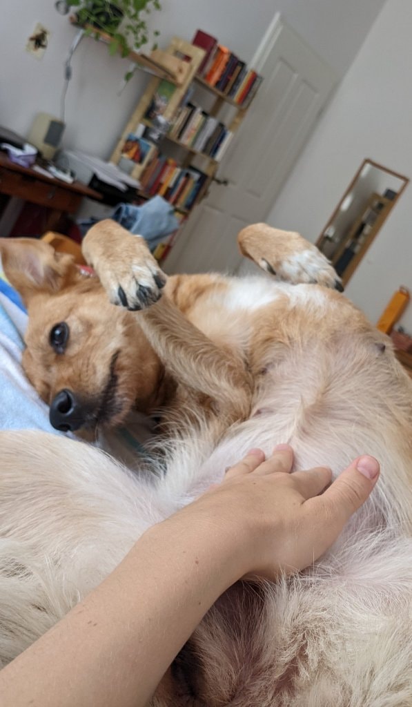 image-2
