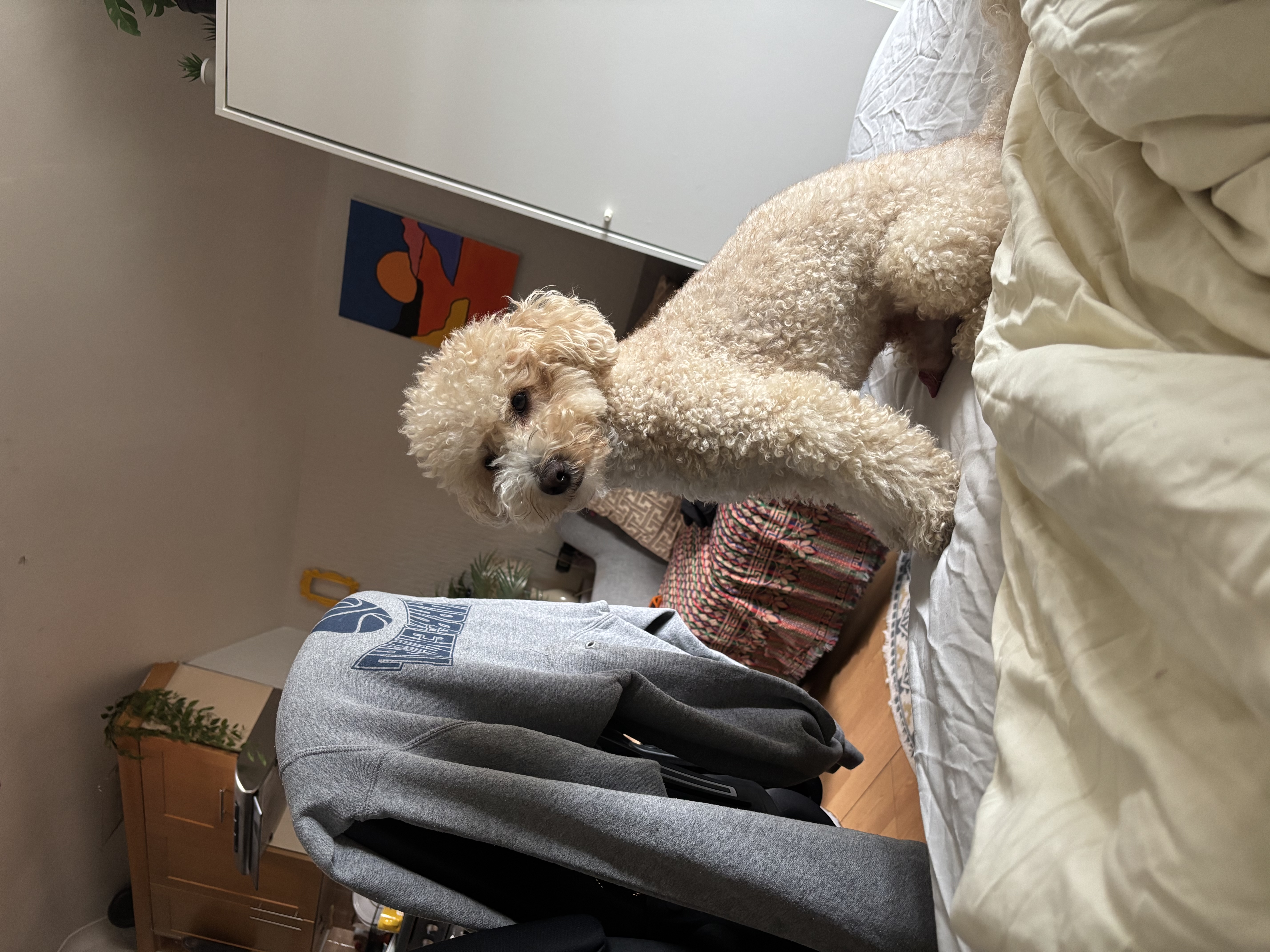 image-9