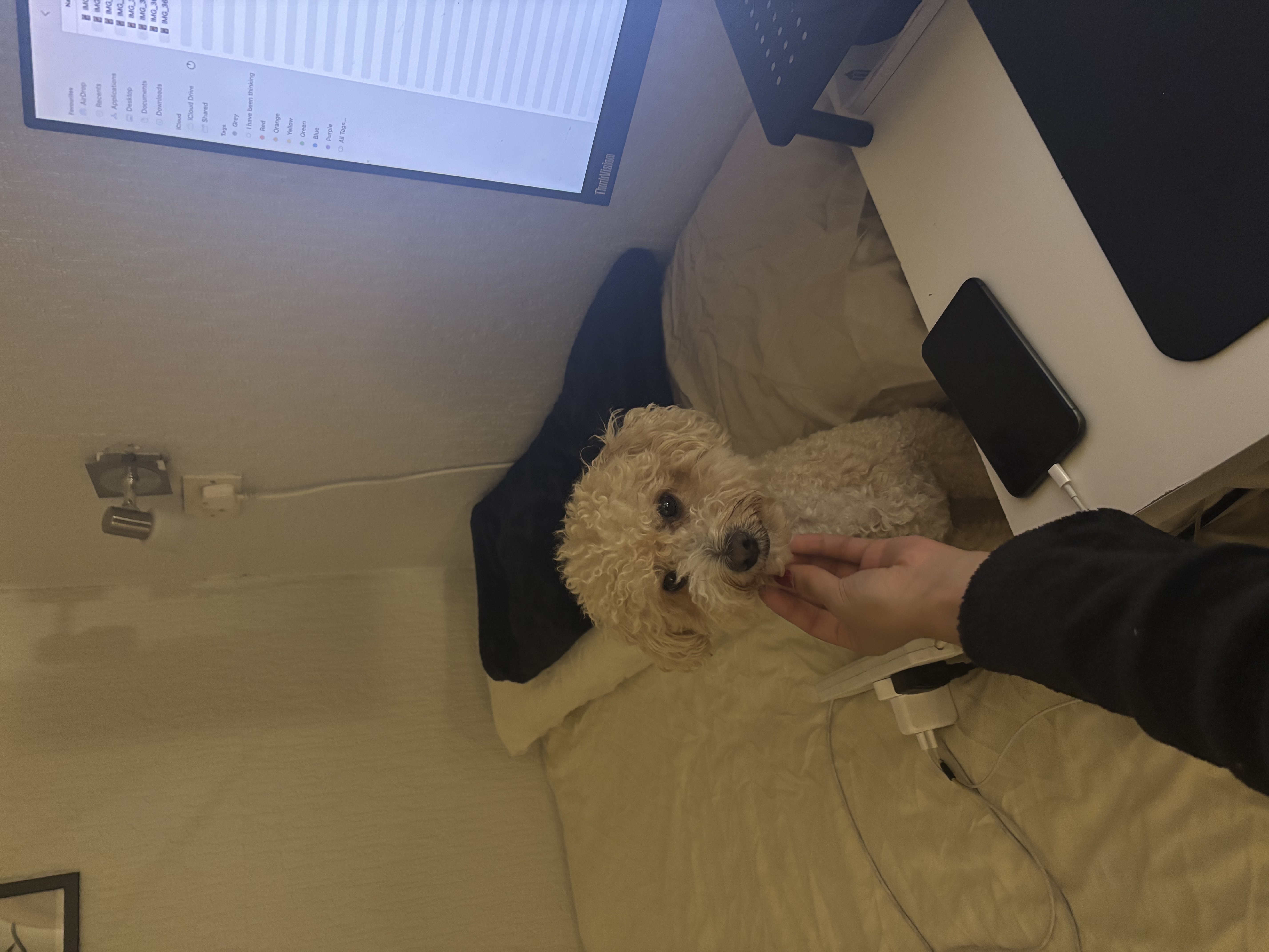 image-7