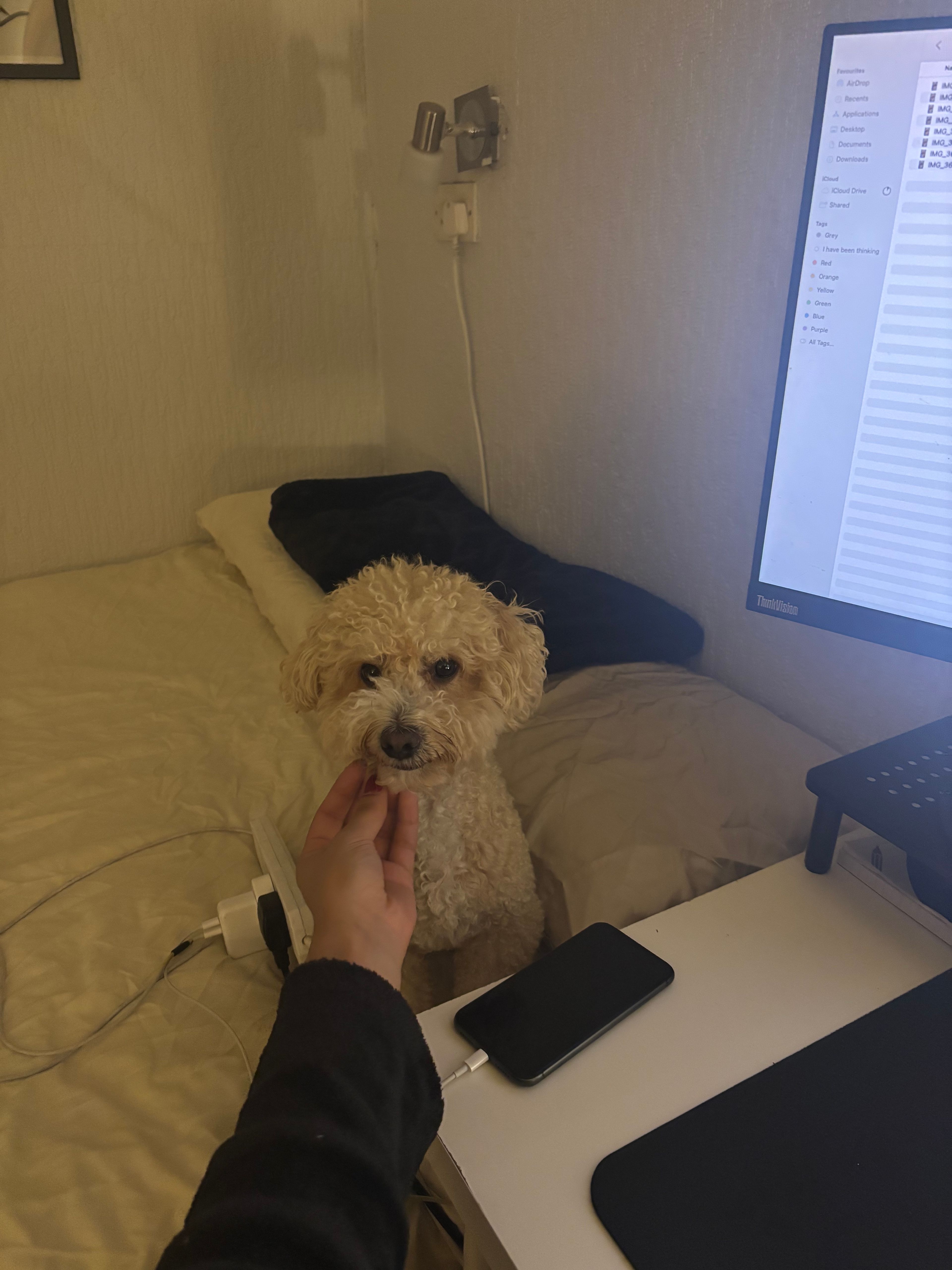 image-7