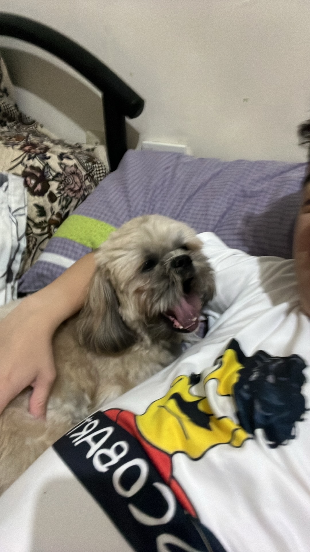 image-4
