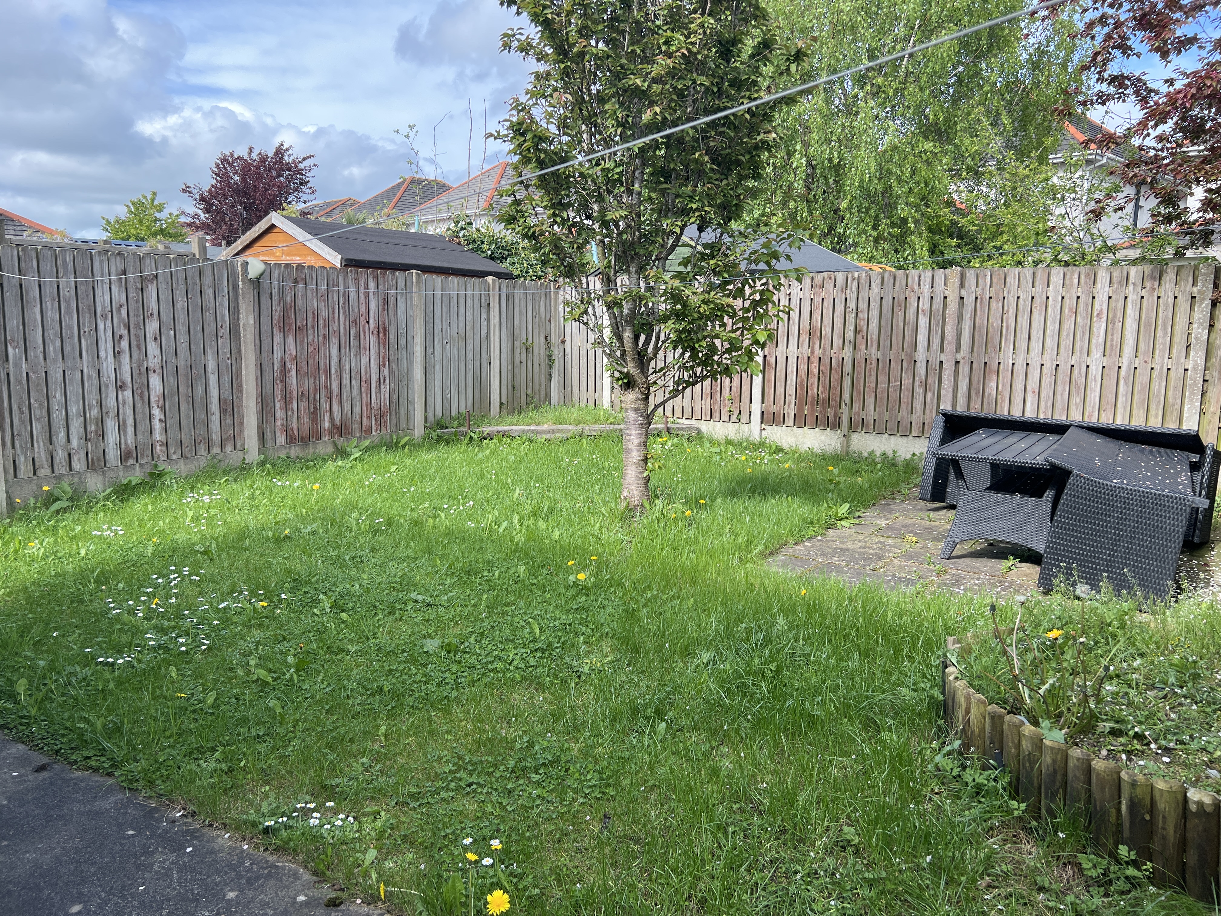 image-20