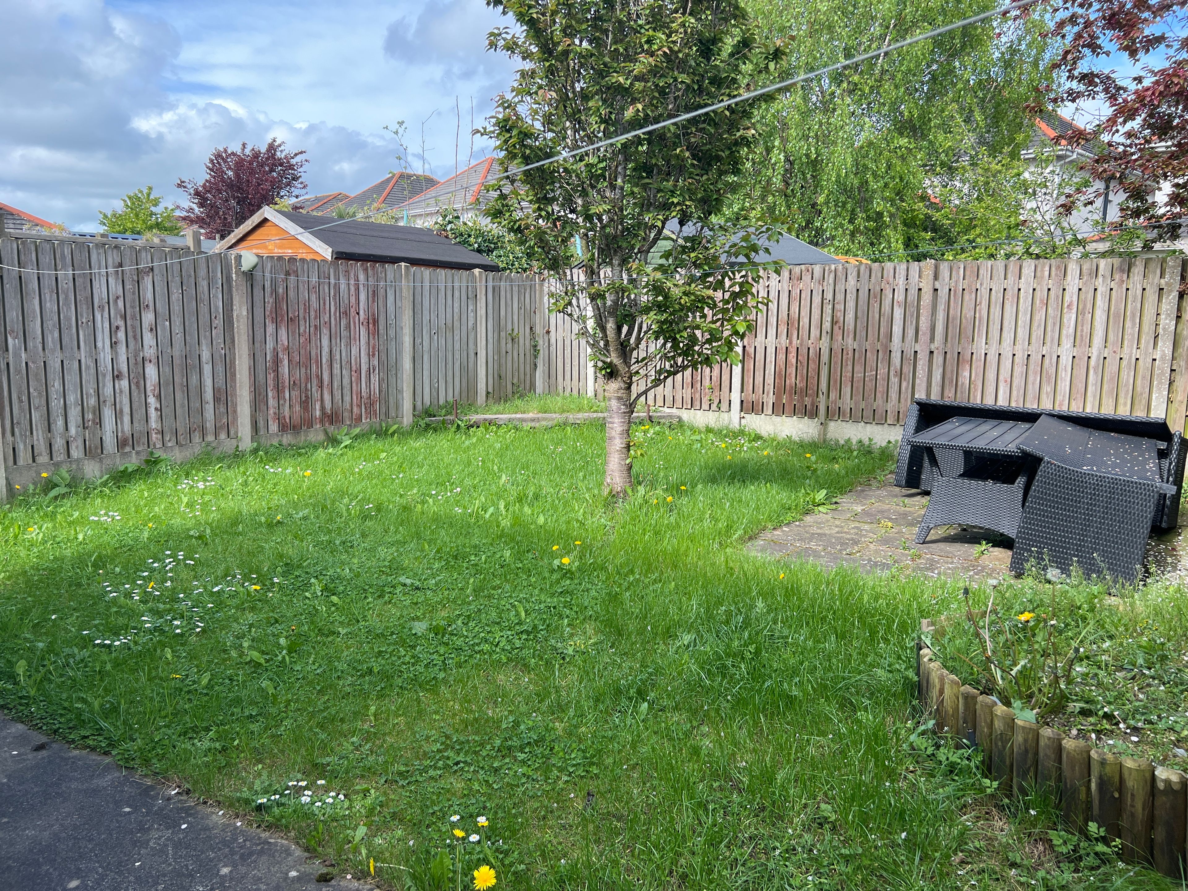 image-20