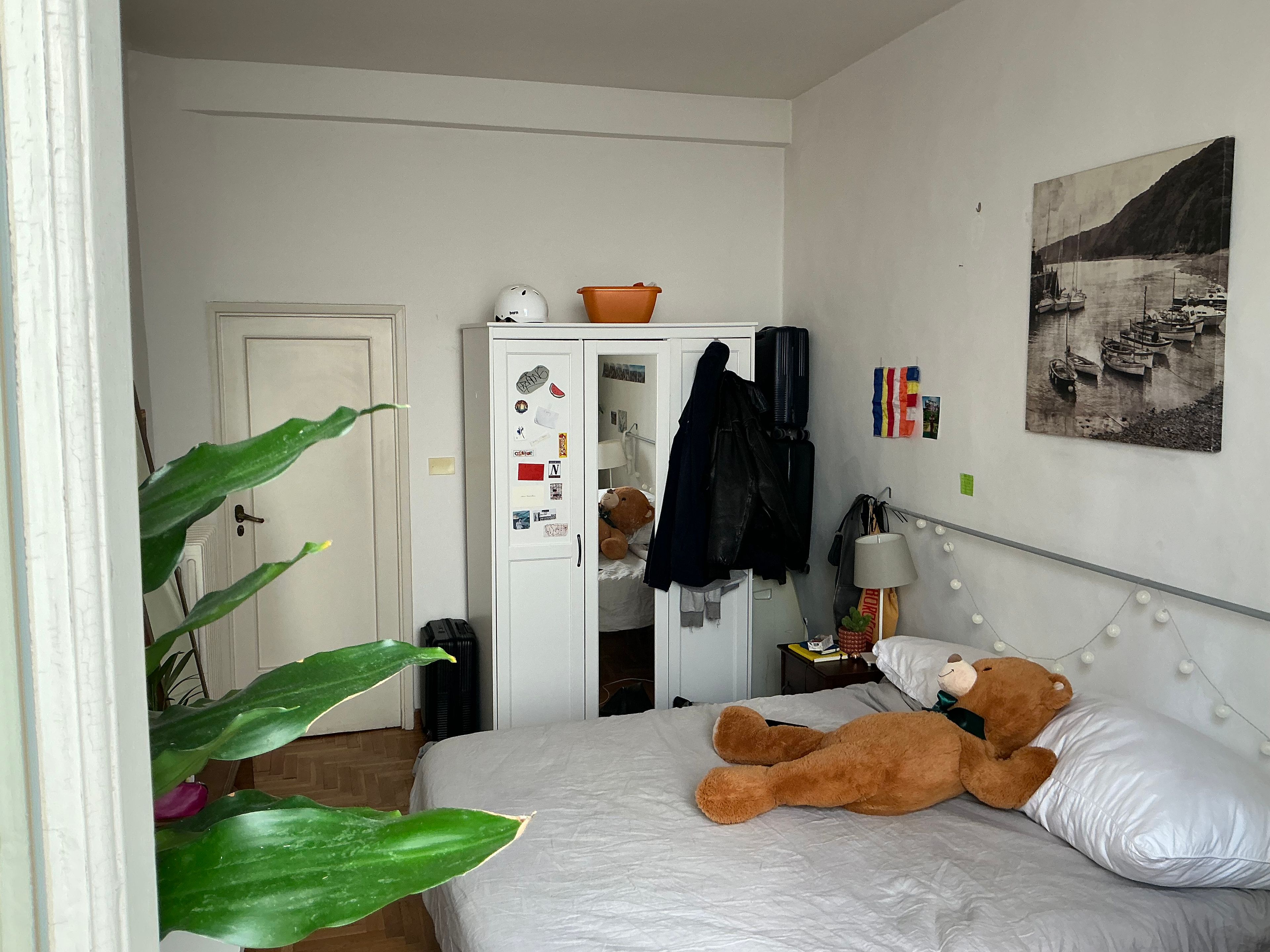 image-11