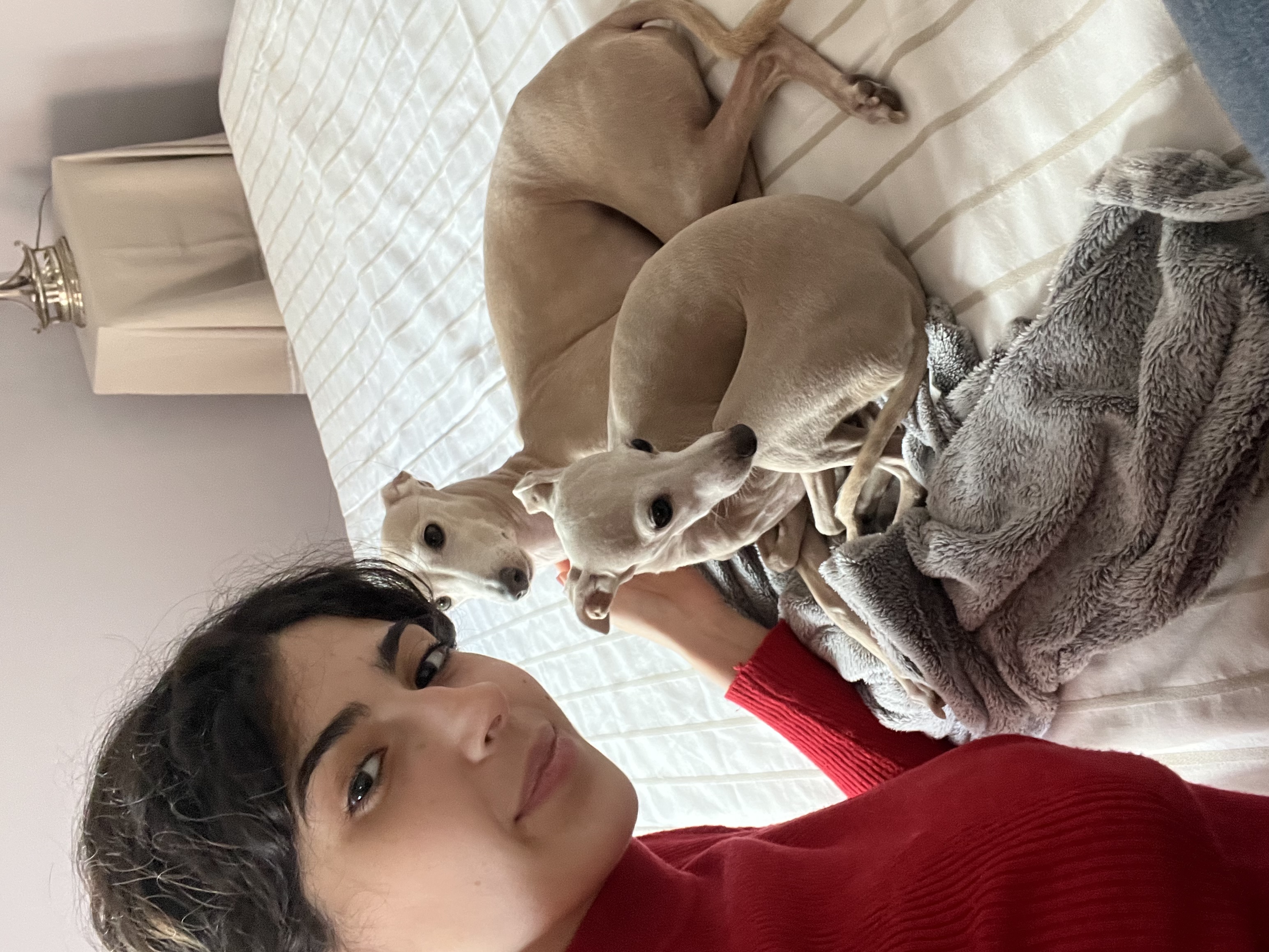 image-7