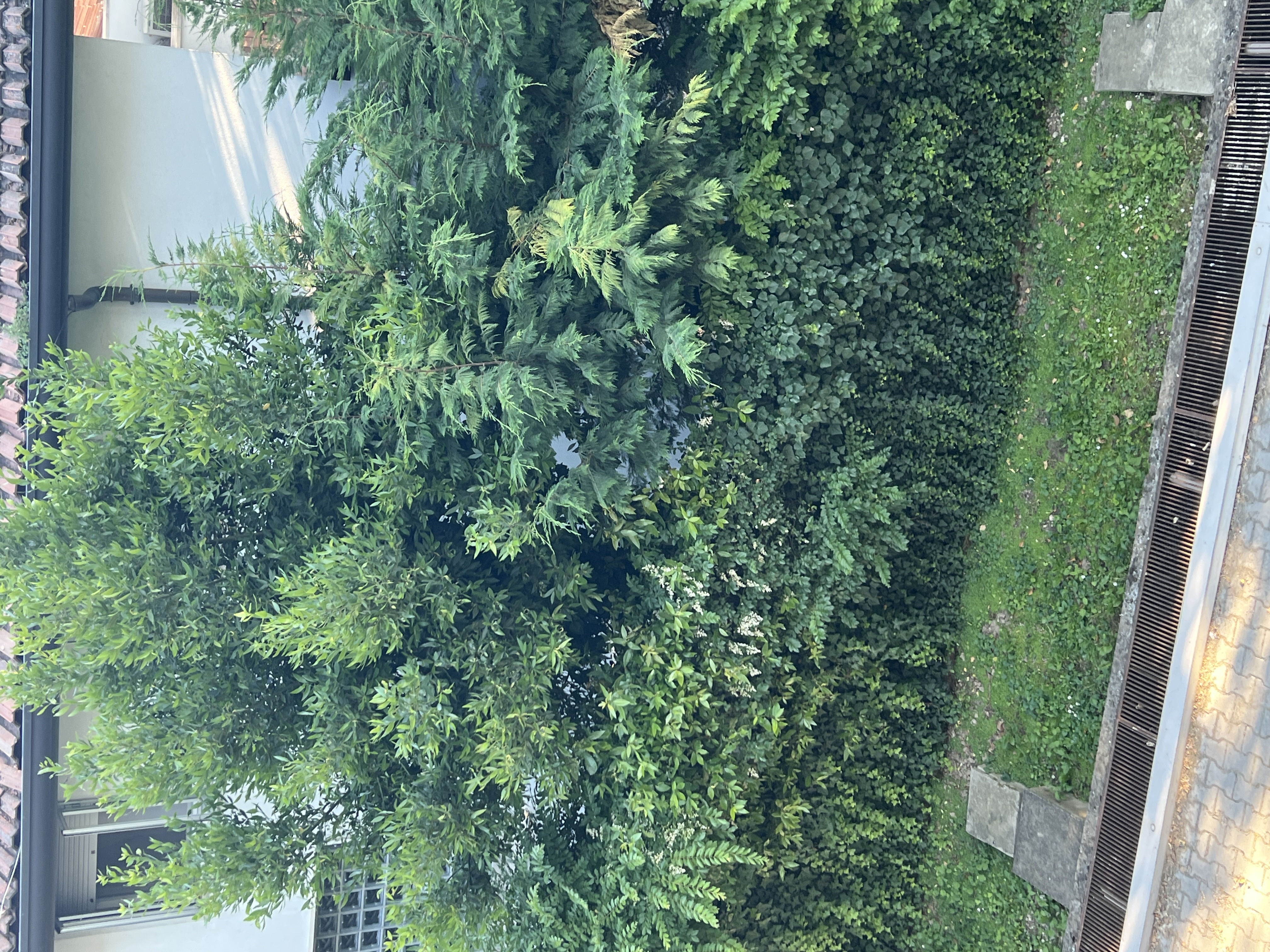 image-20