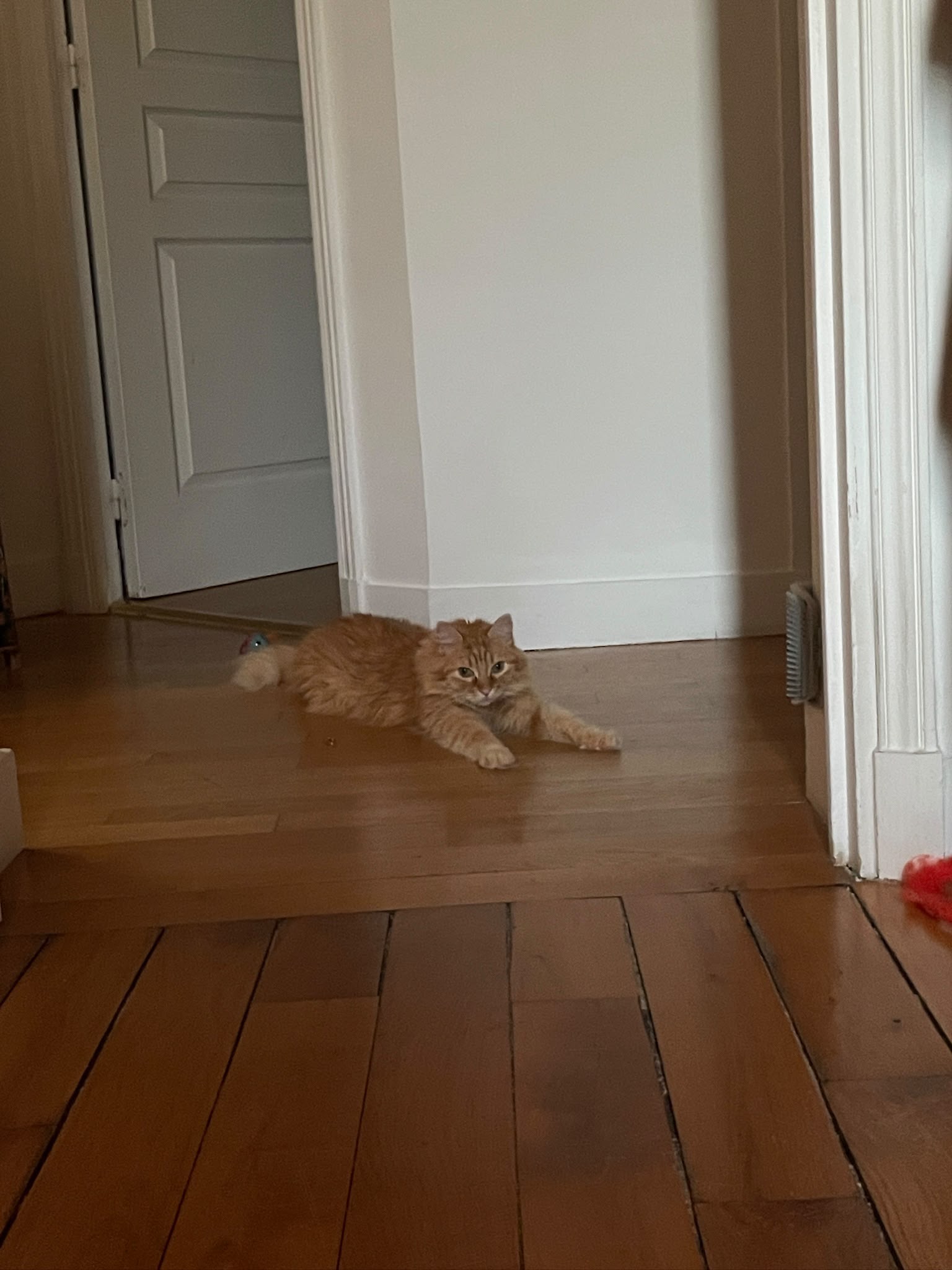 image-14