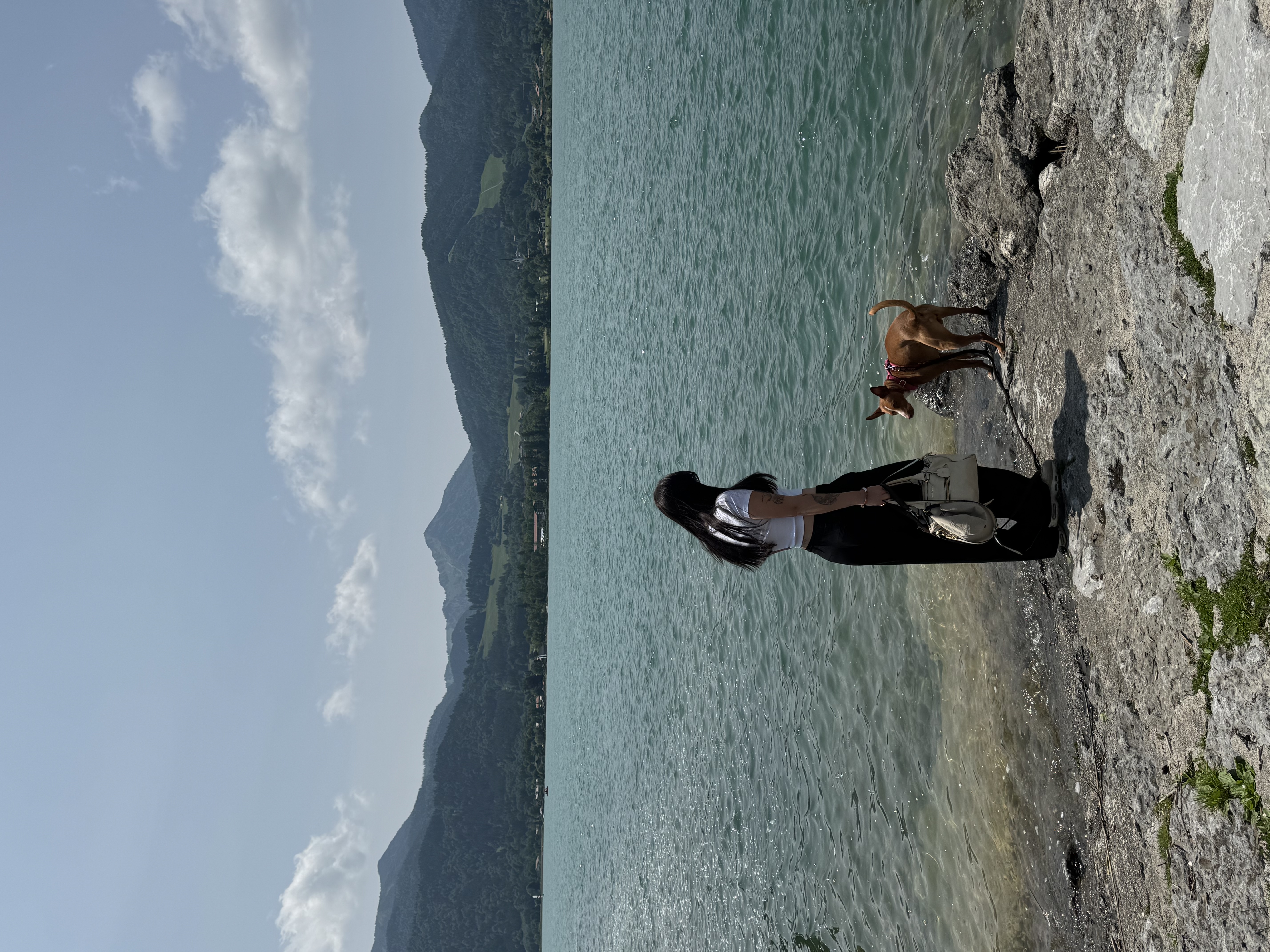image-16