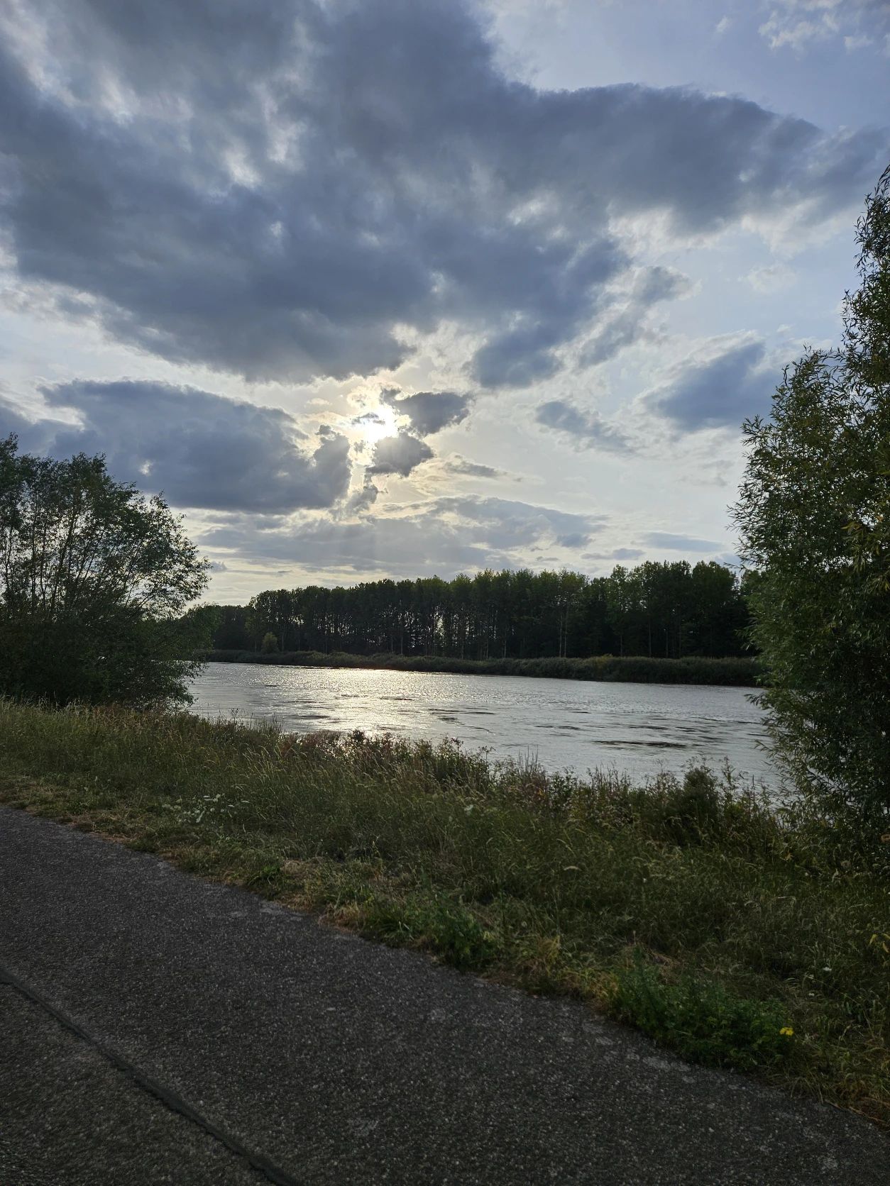 image-19