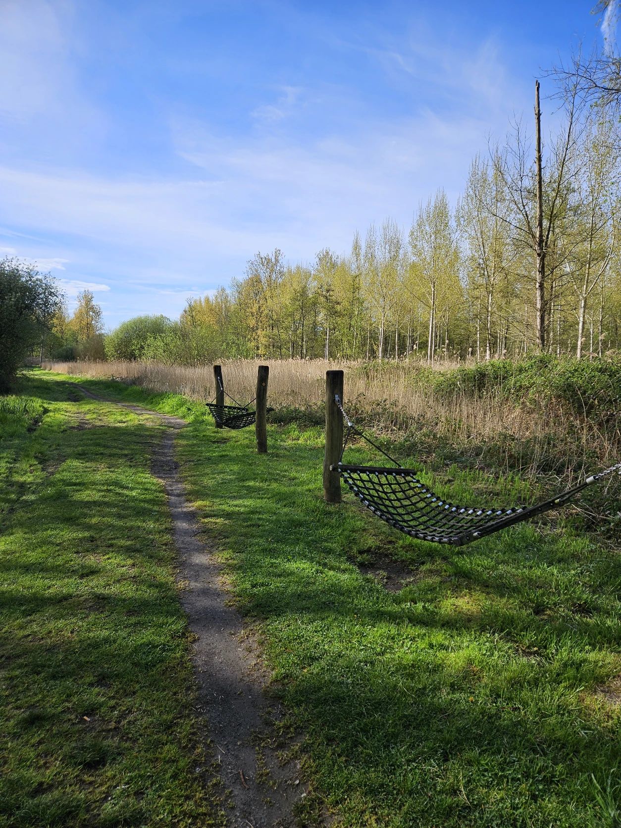 image-20