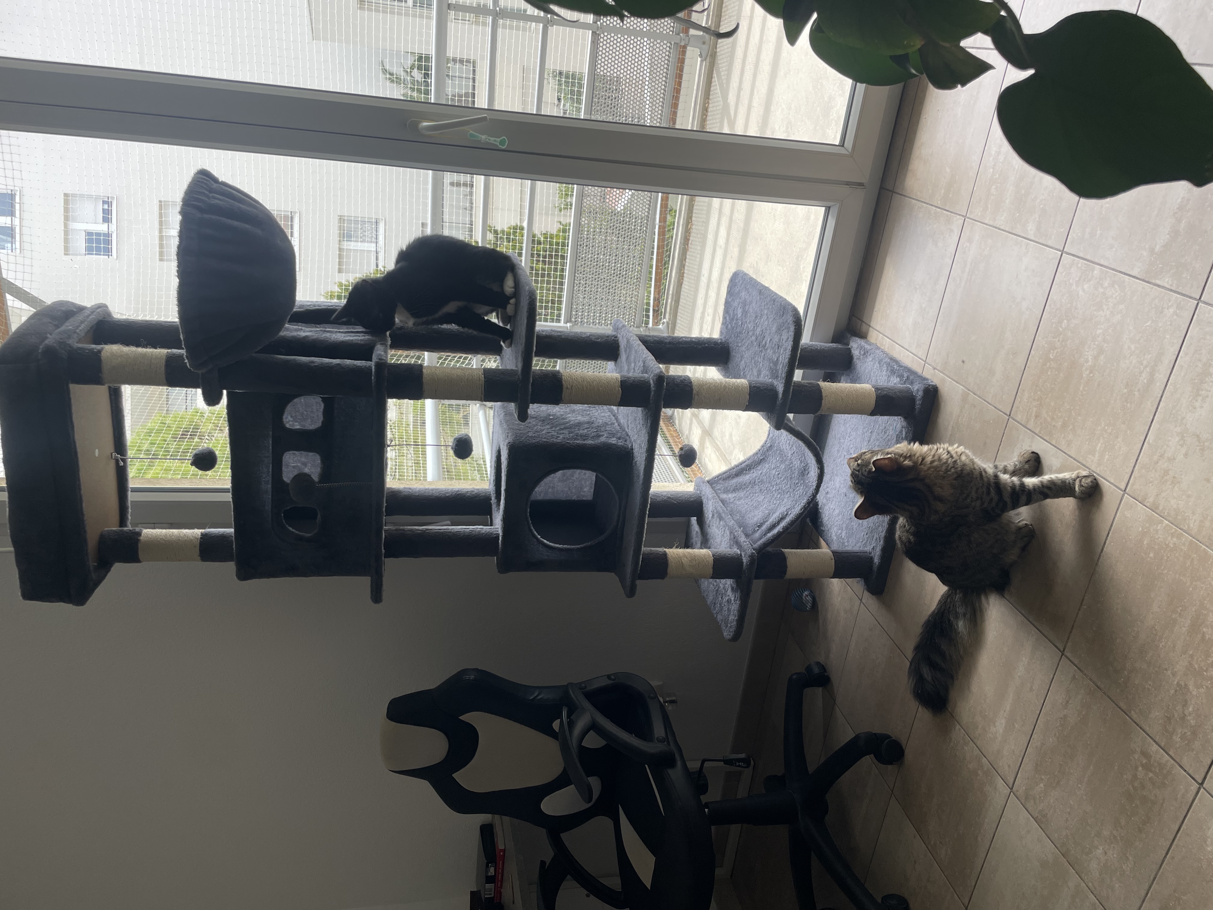image-11