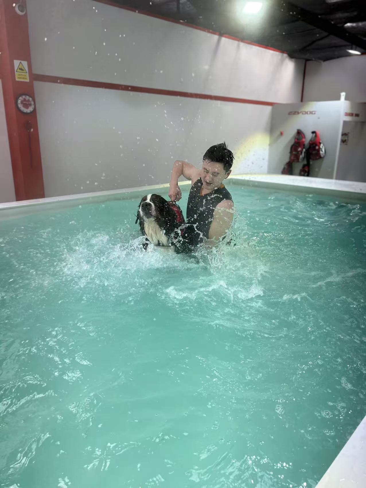 image-7