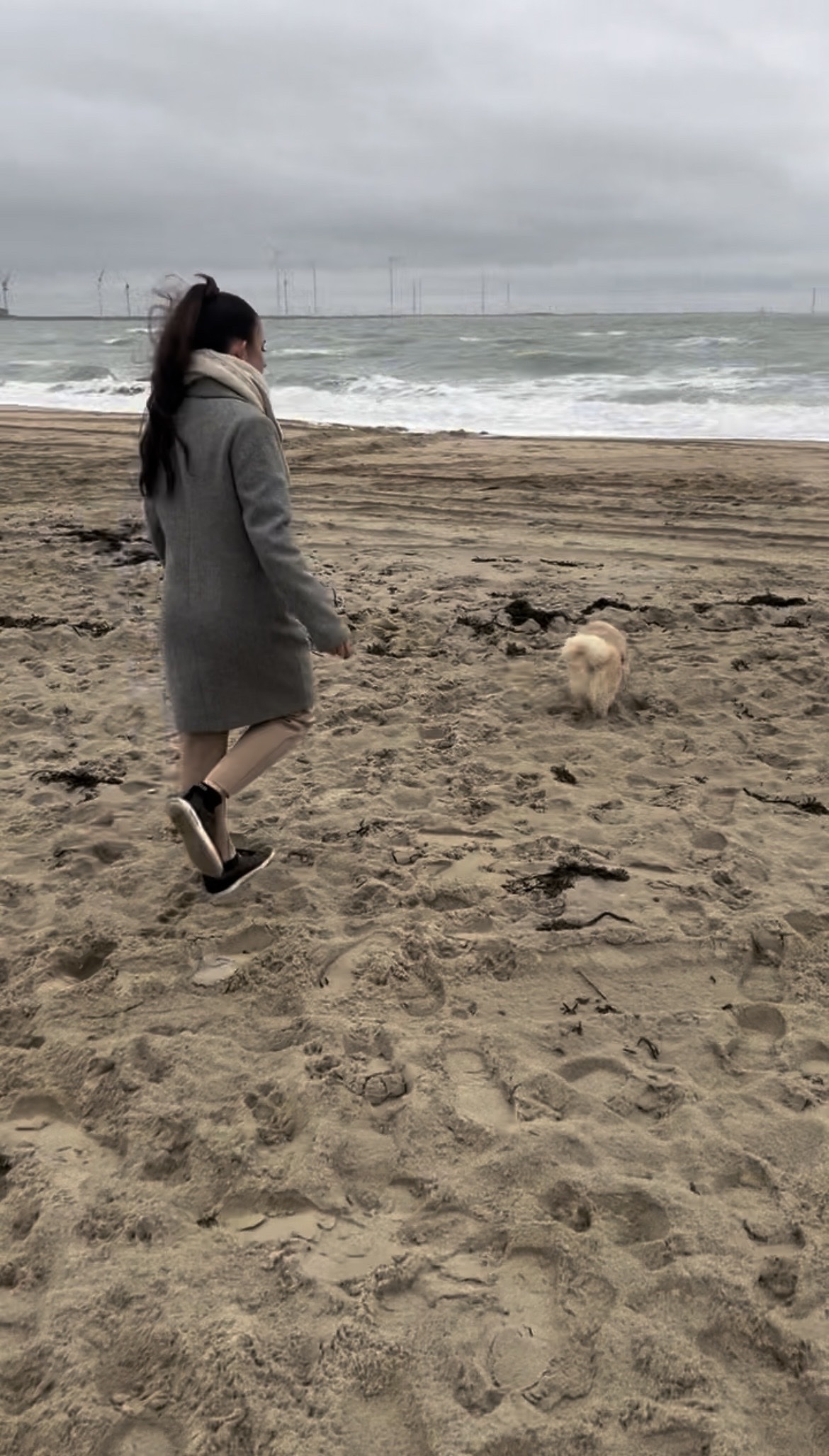 image-17
