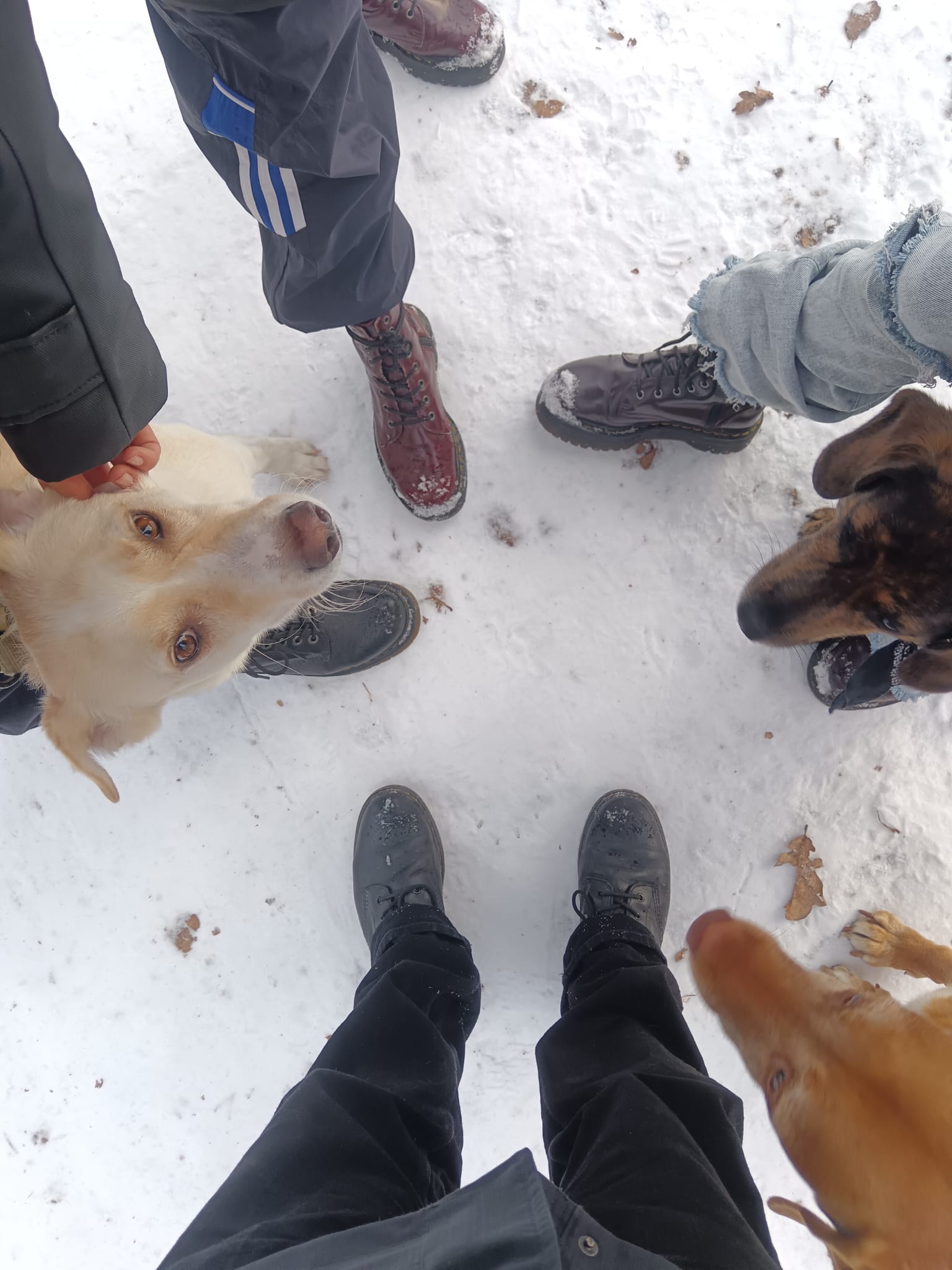 image-8