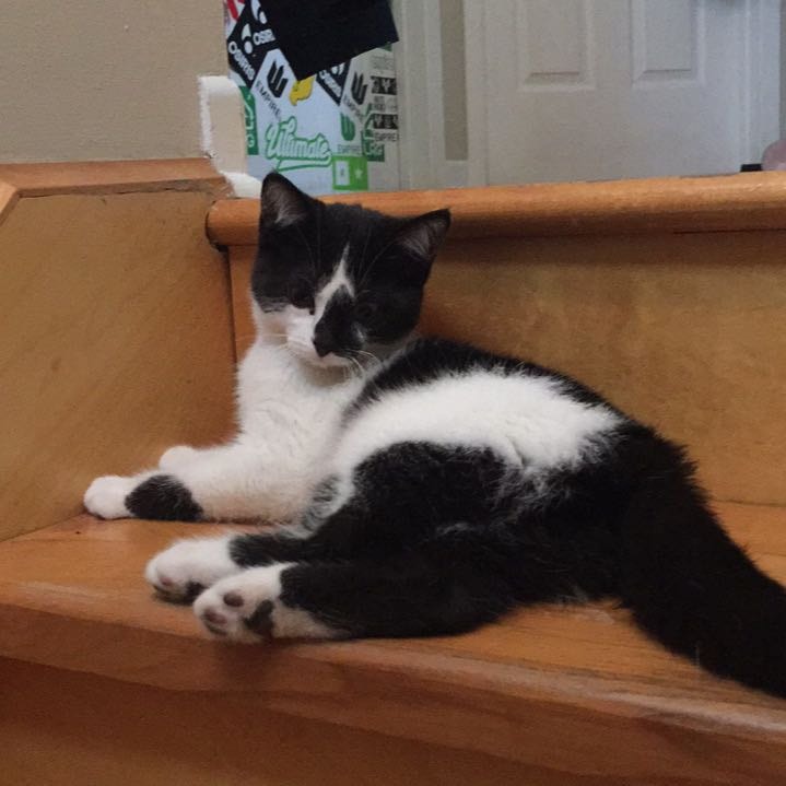 maggie