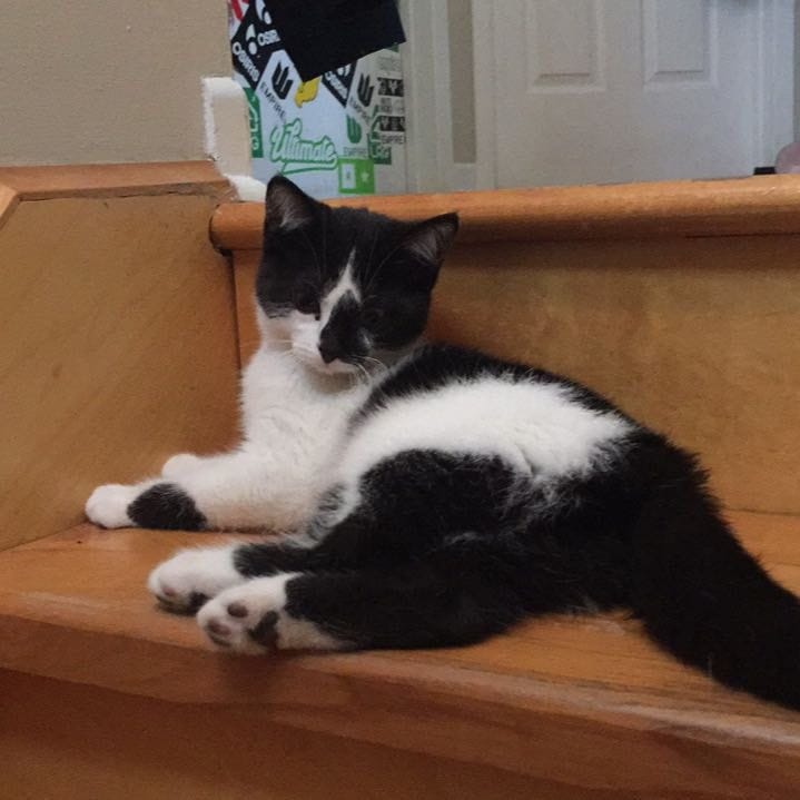 maggie