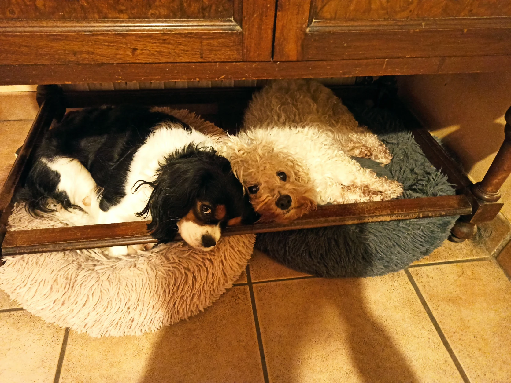 image-9
