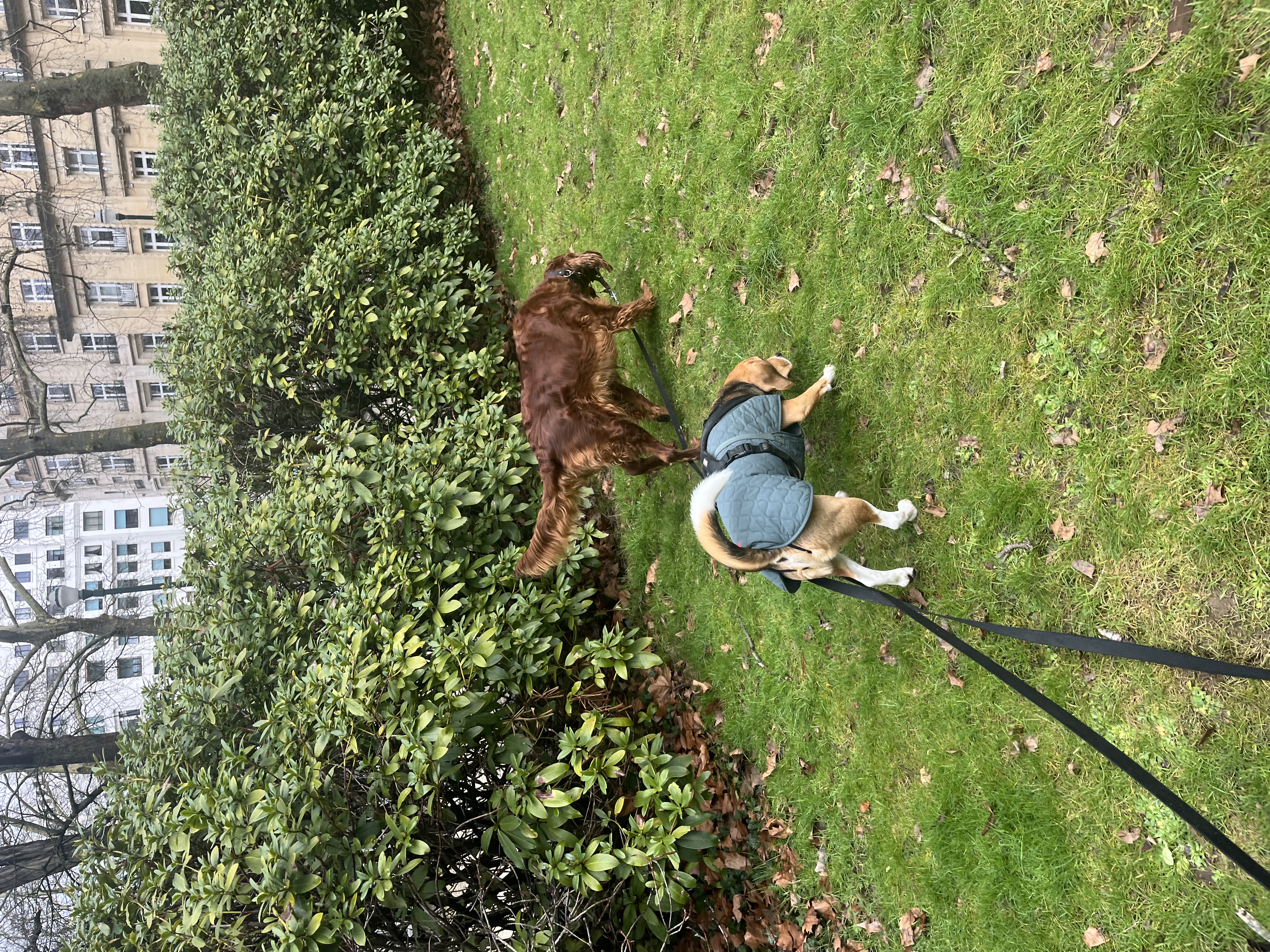 image-10
