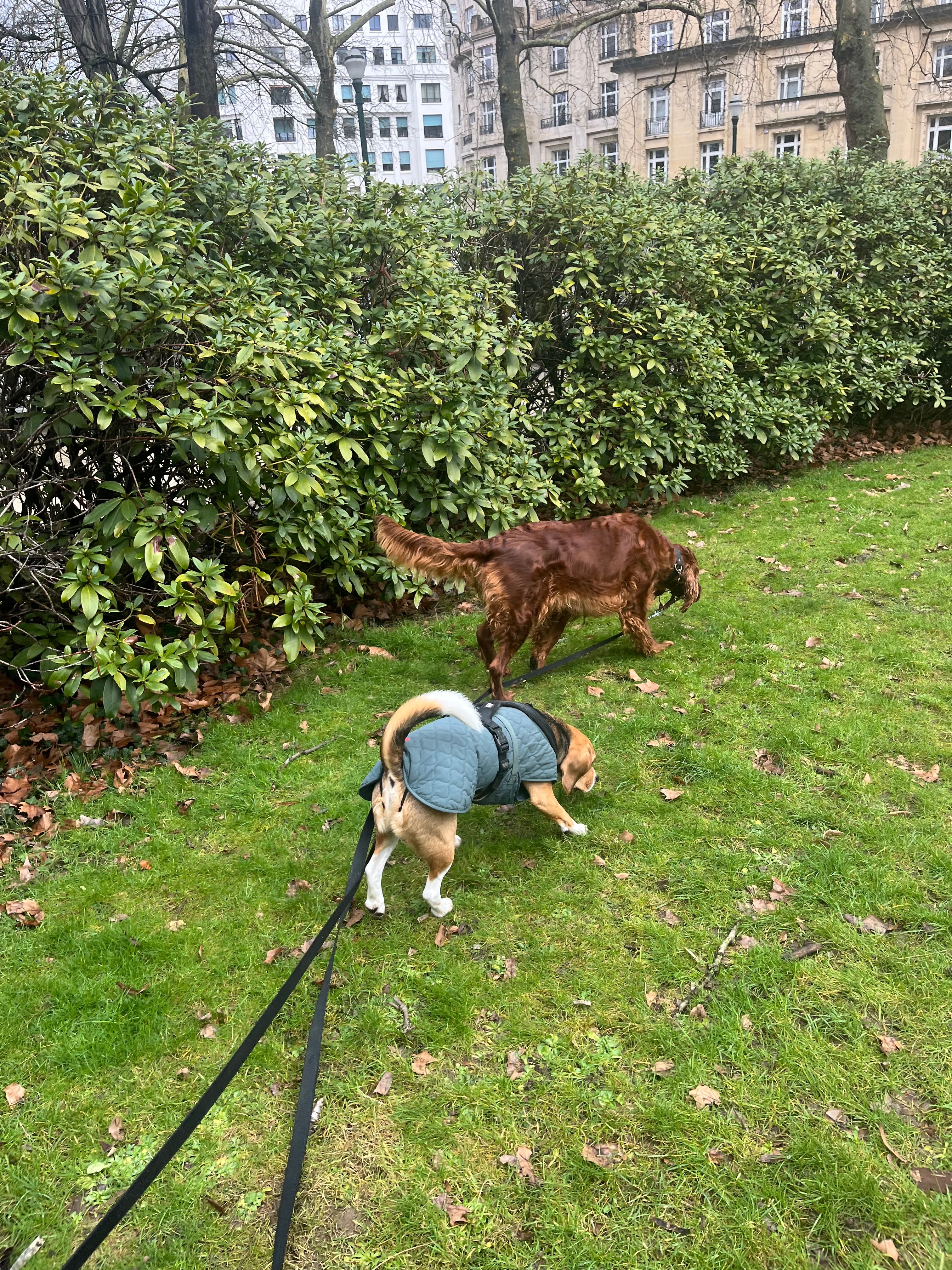 image-10