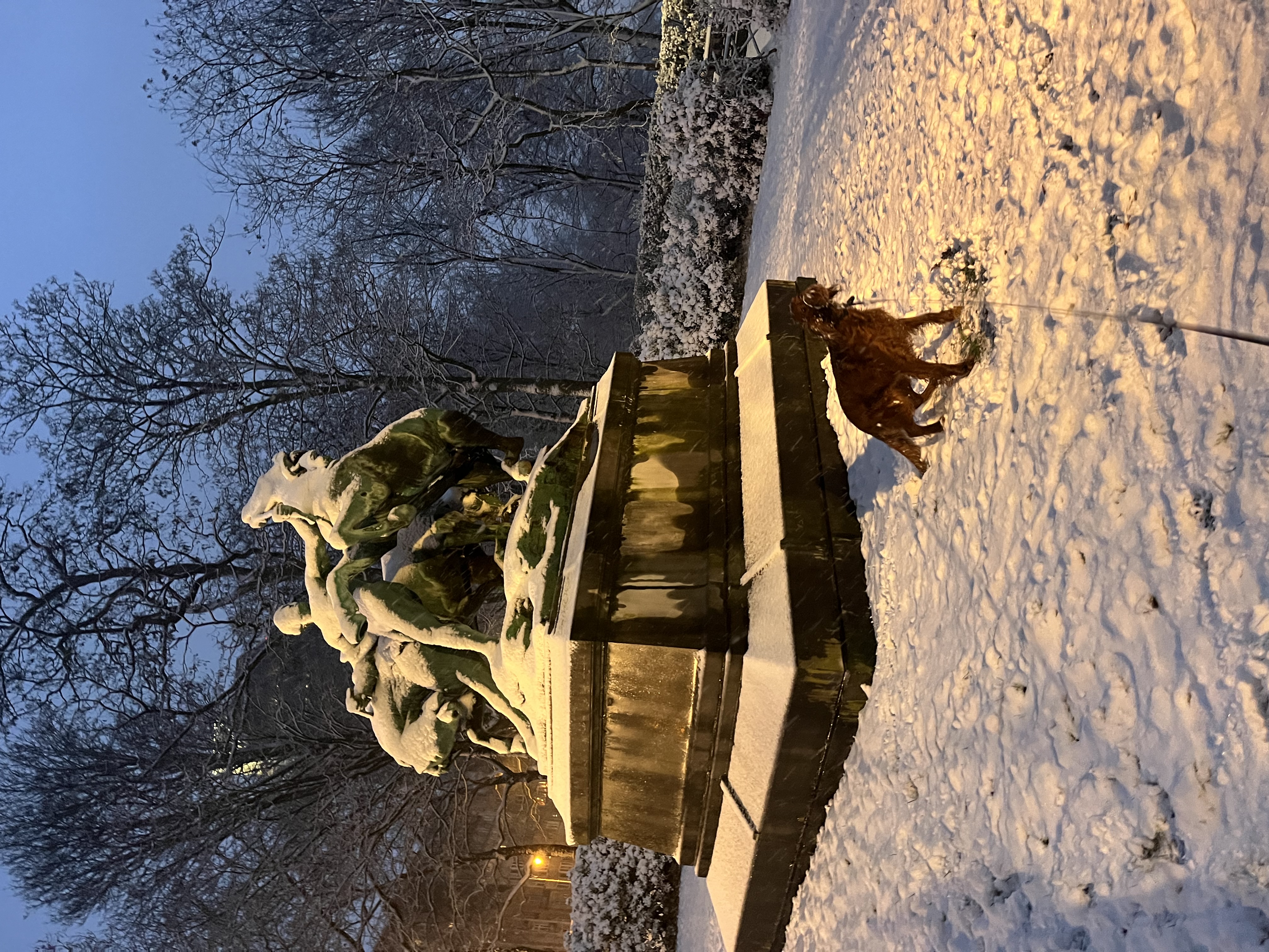 image-16