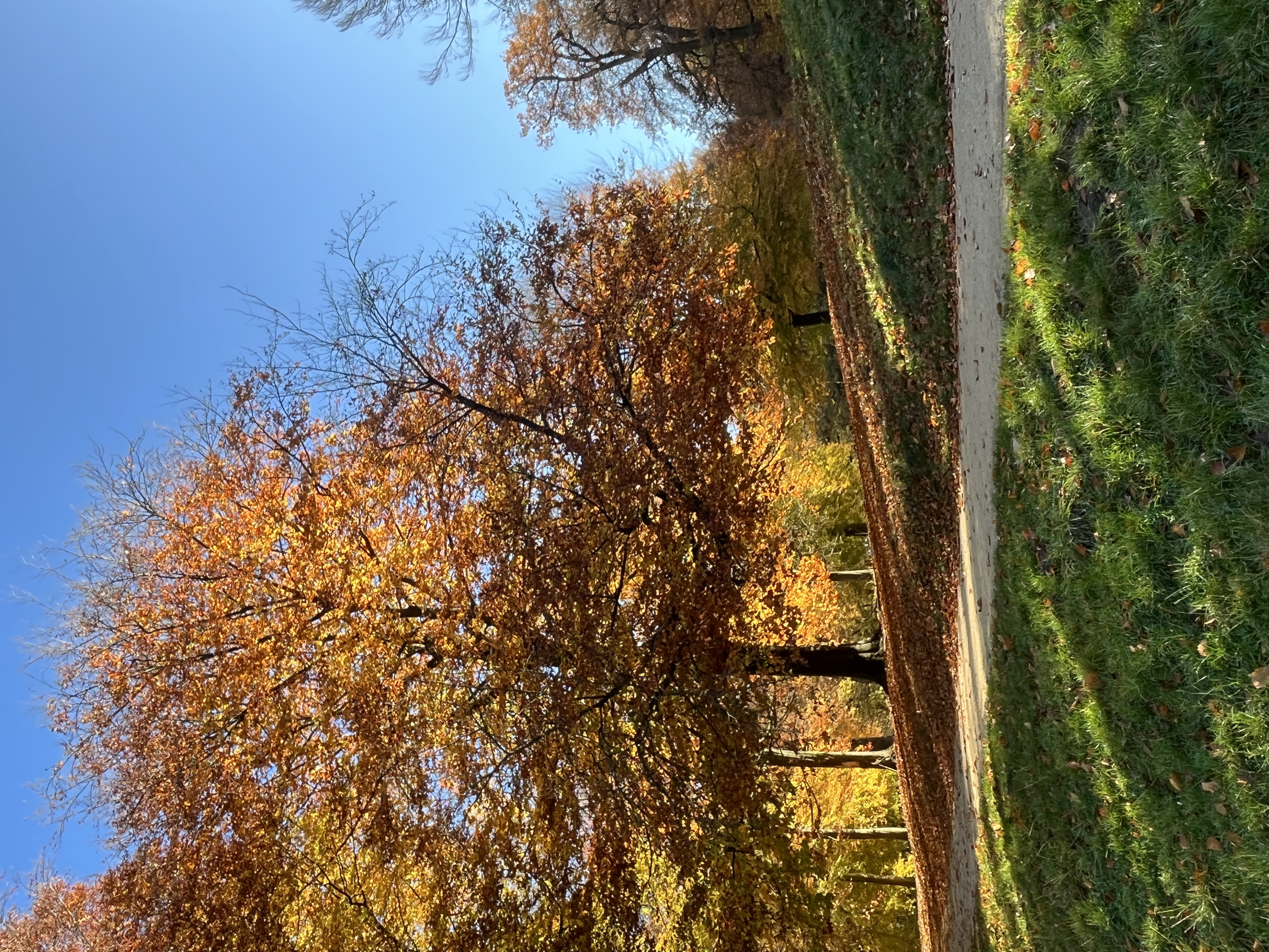 image-31