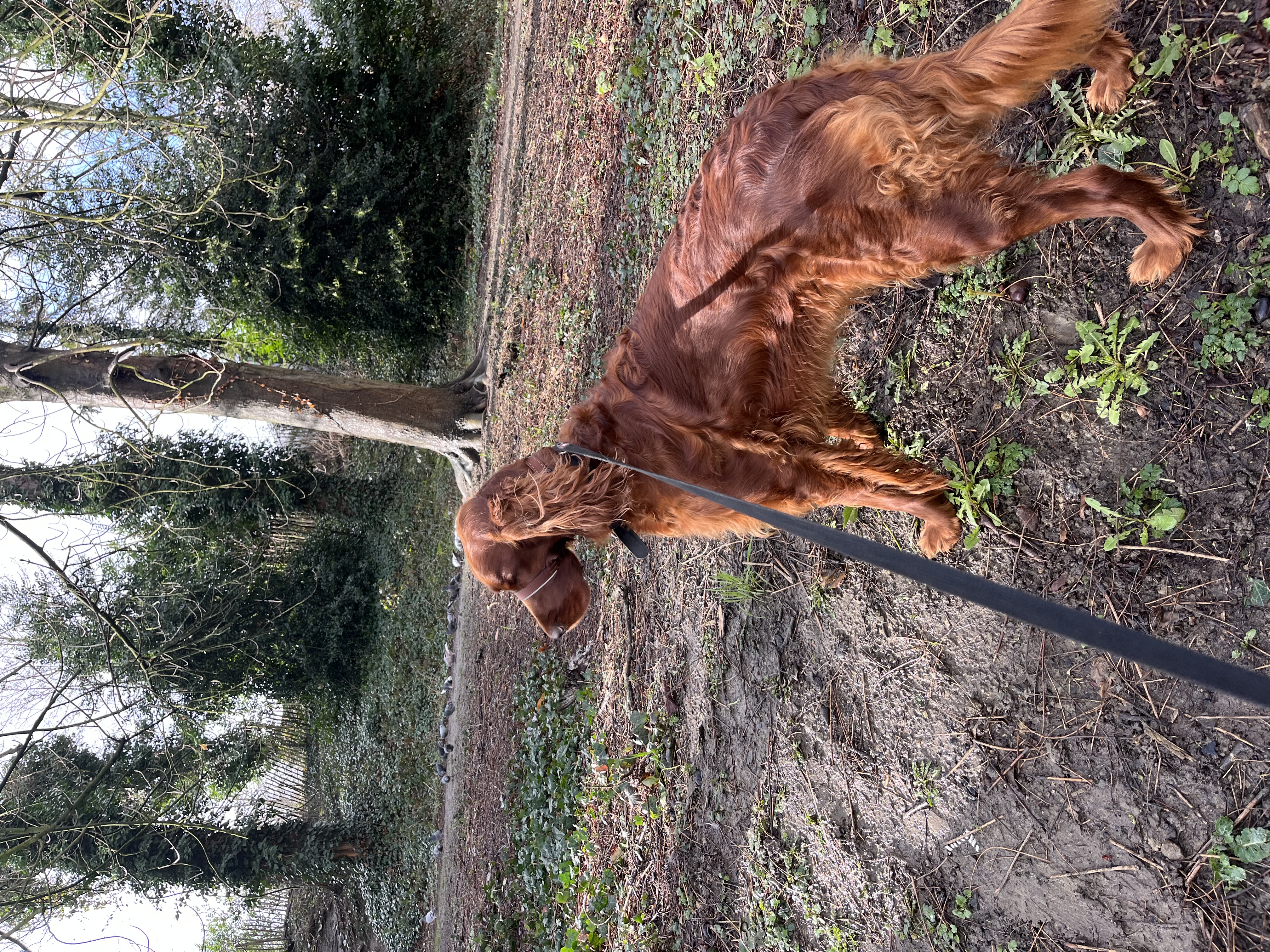 image-11