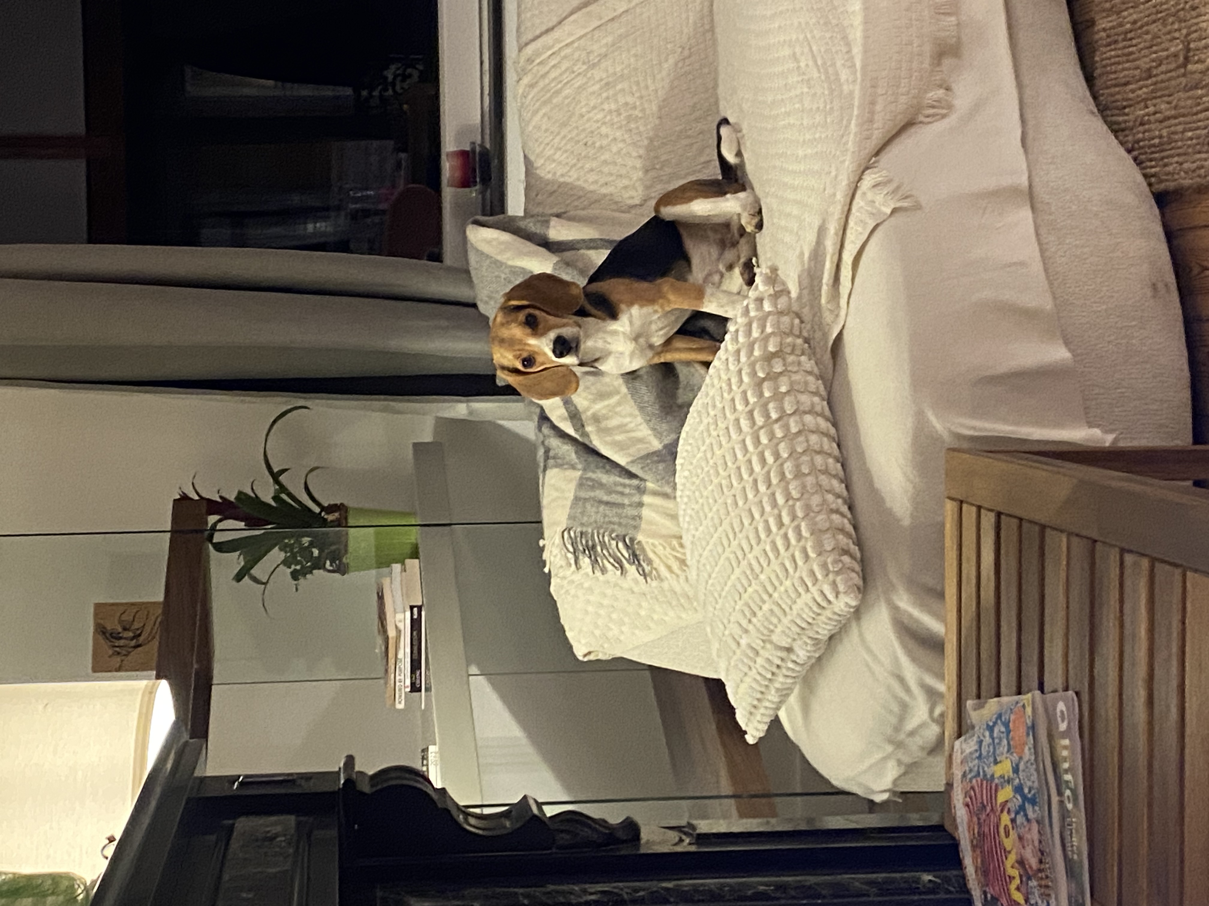 image-25