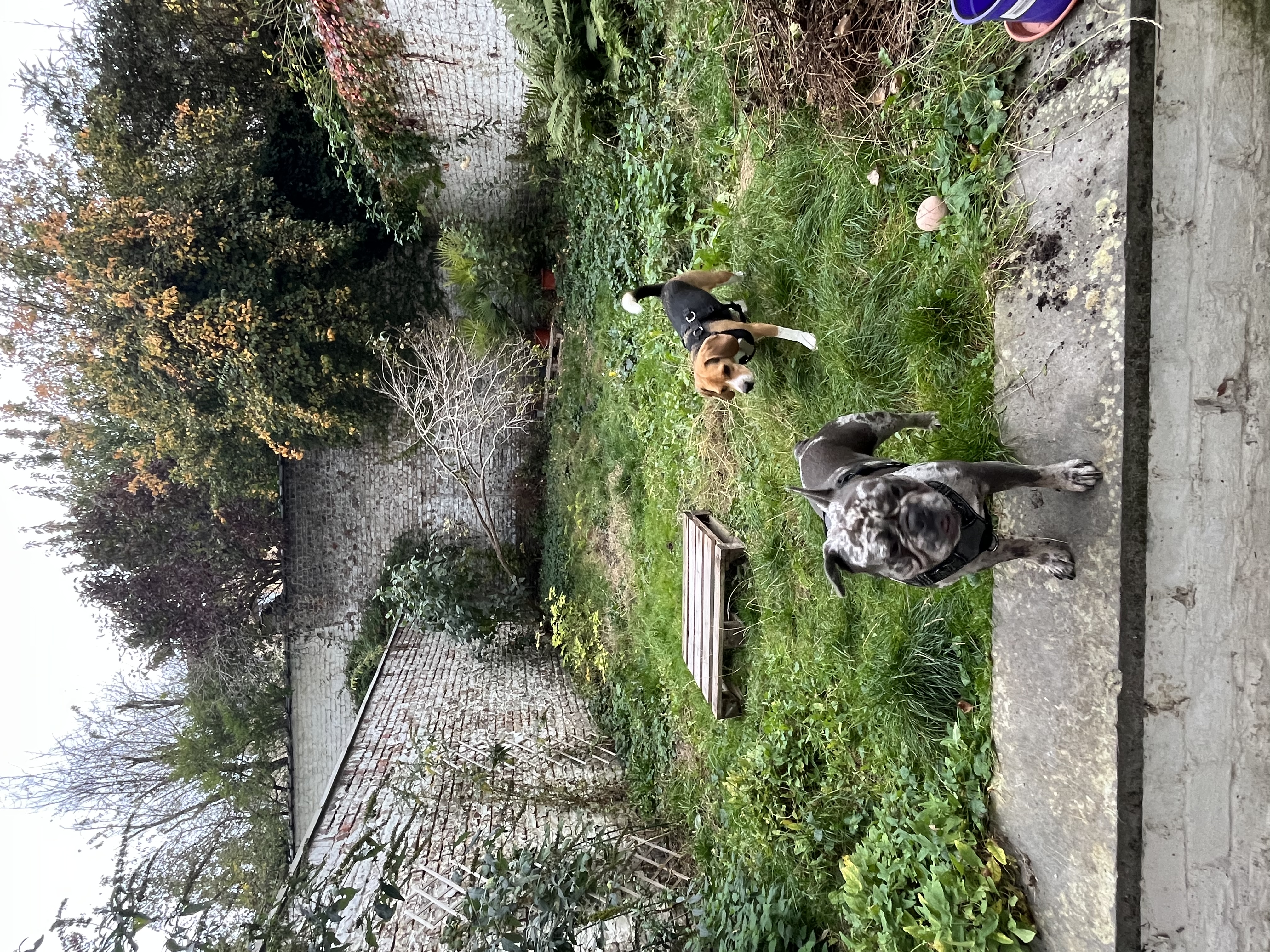 image-28