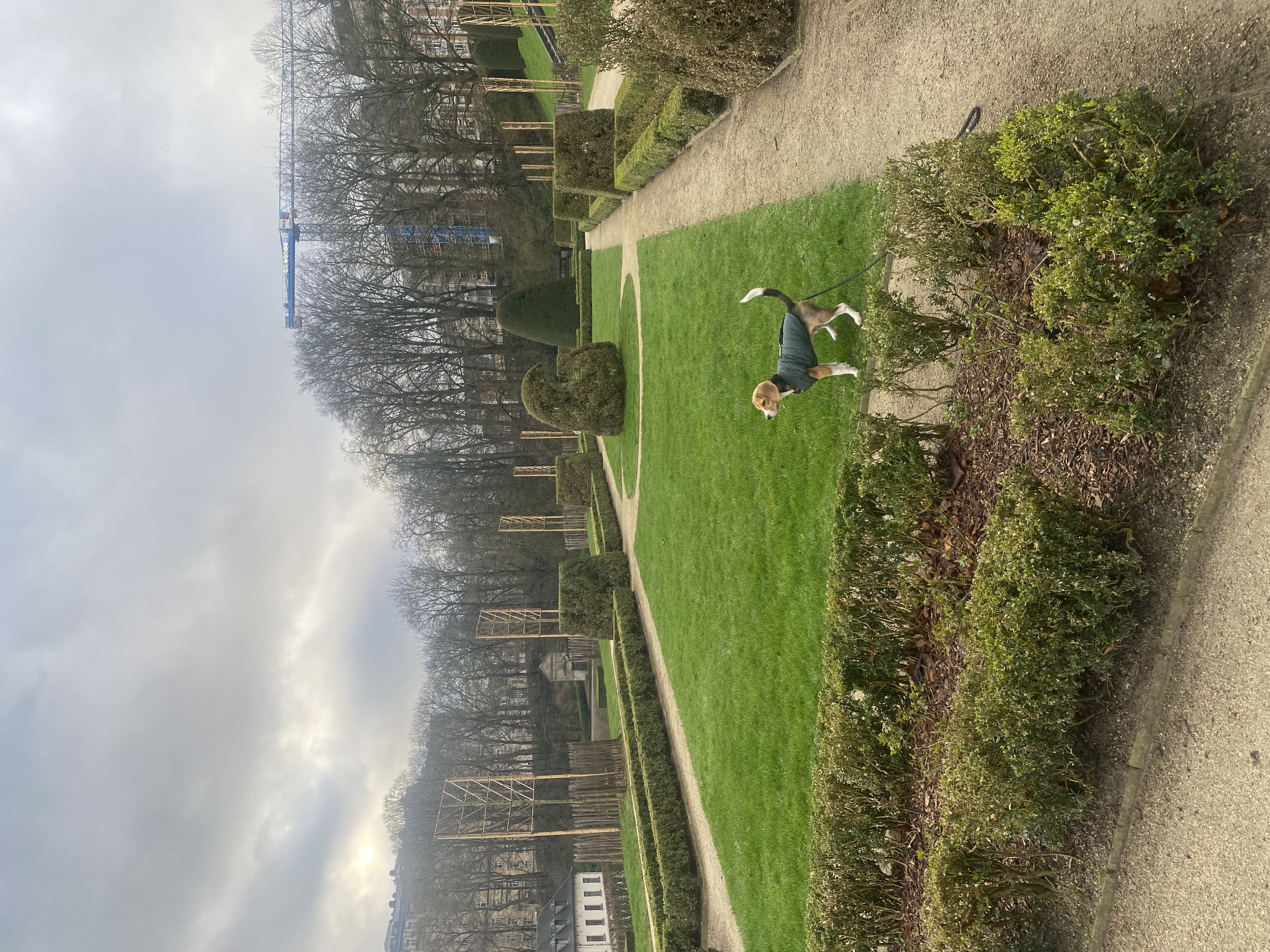 image-32