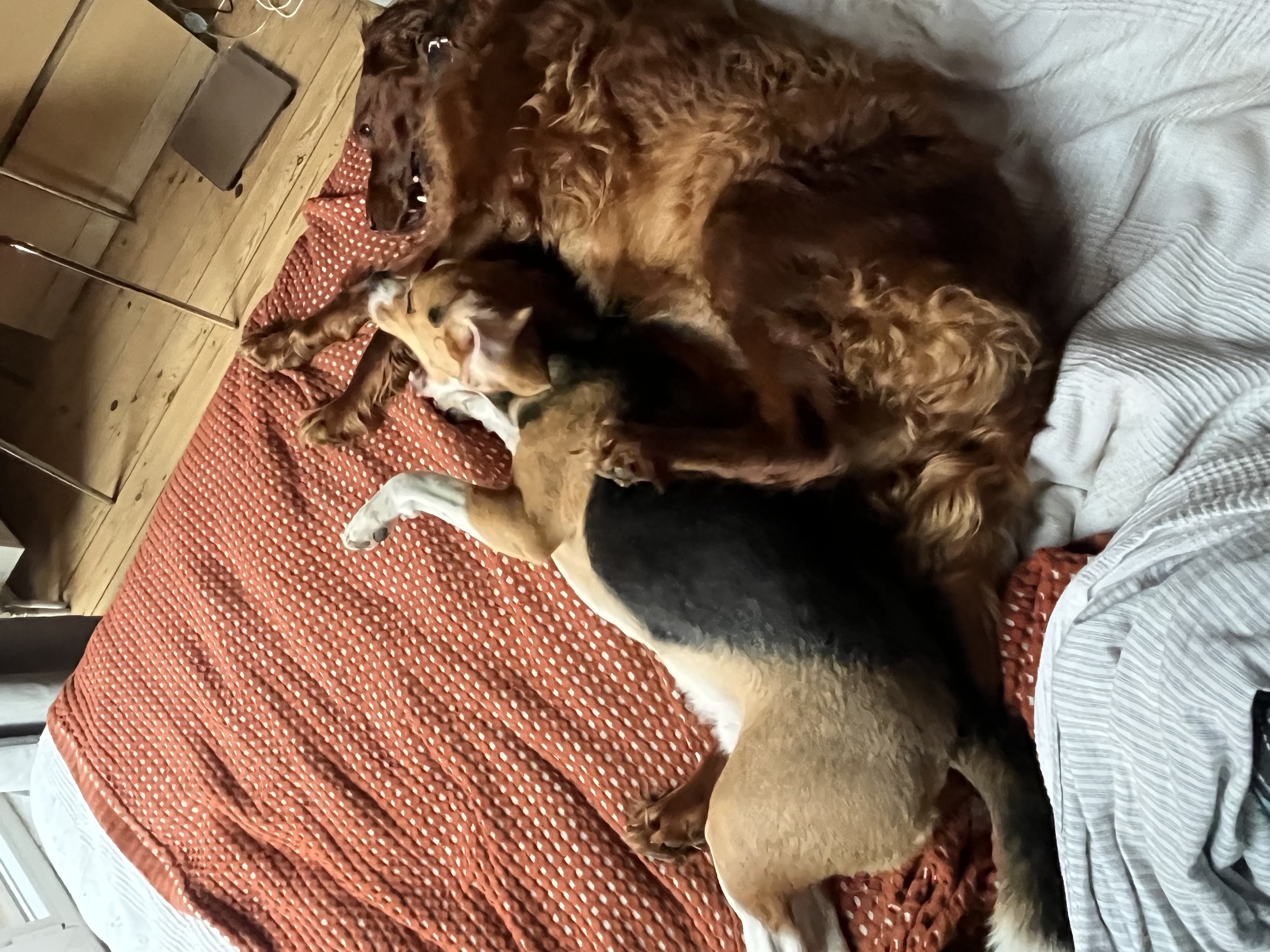 image-38