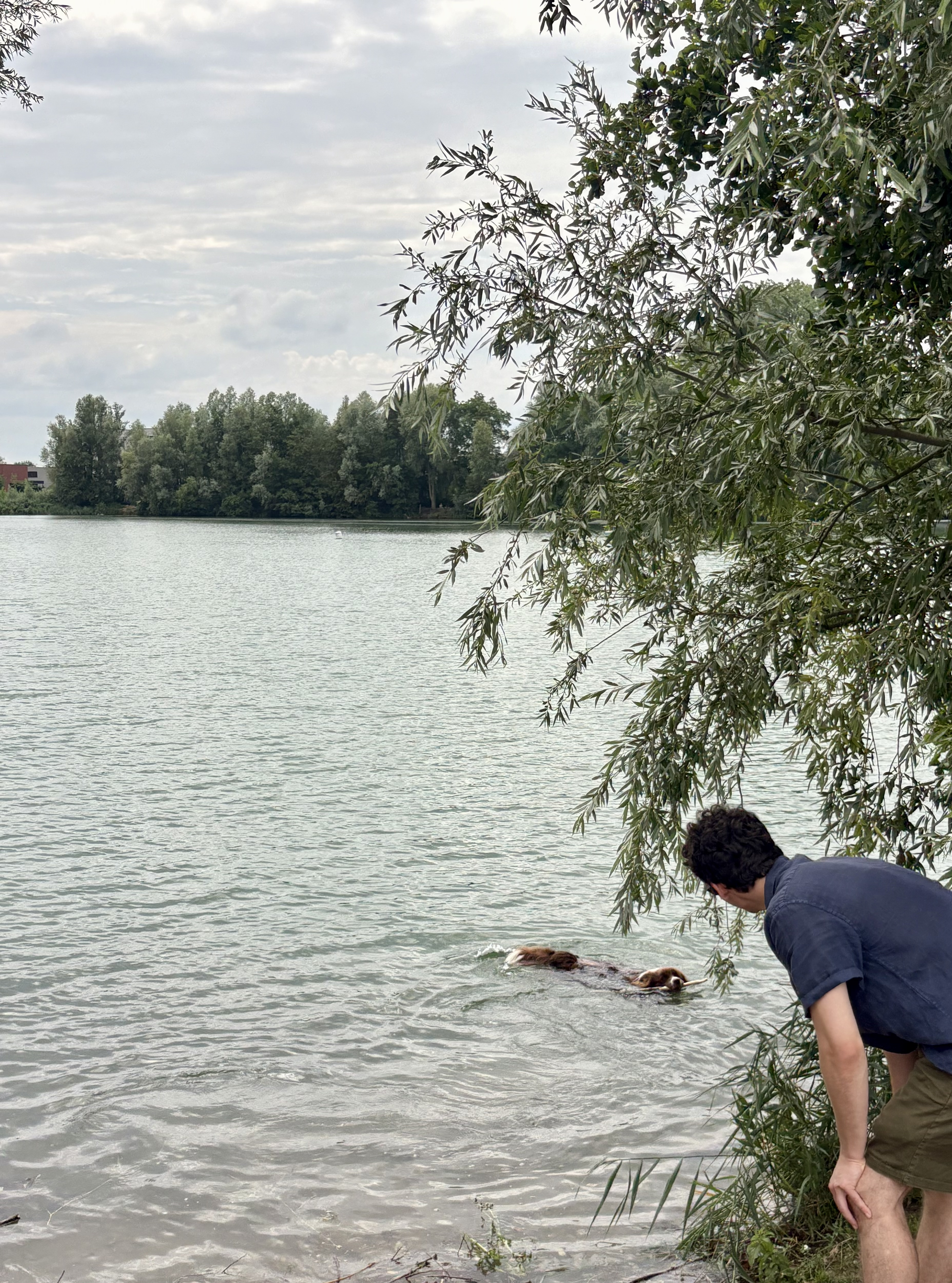 image-16