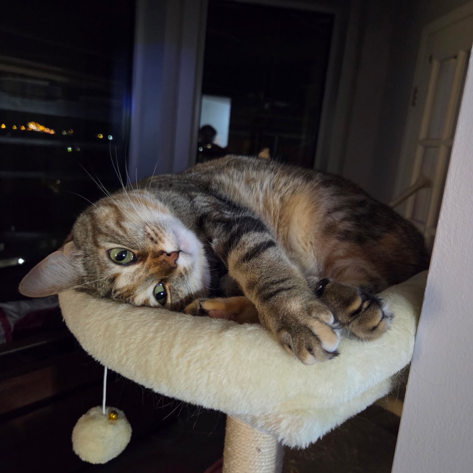 Ruby