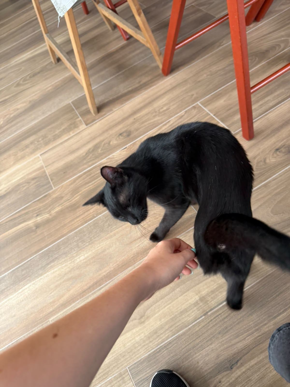 image-9