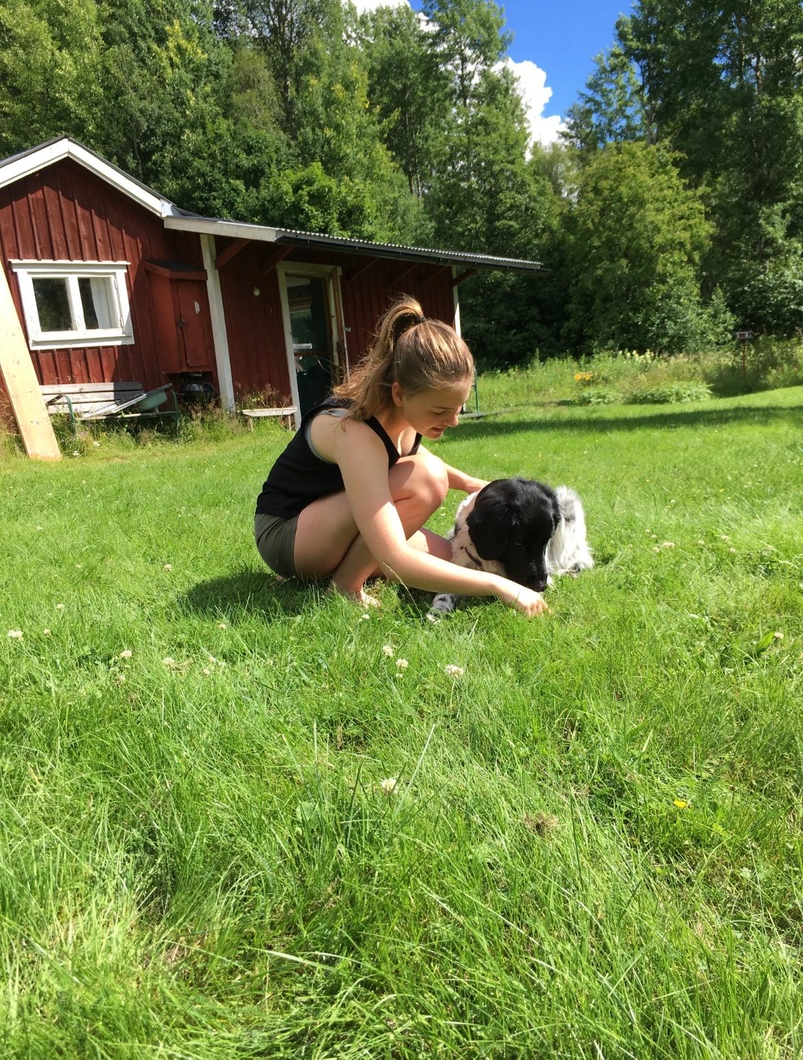 image-8