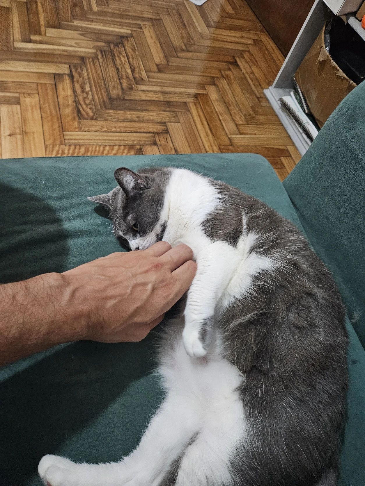 image-5