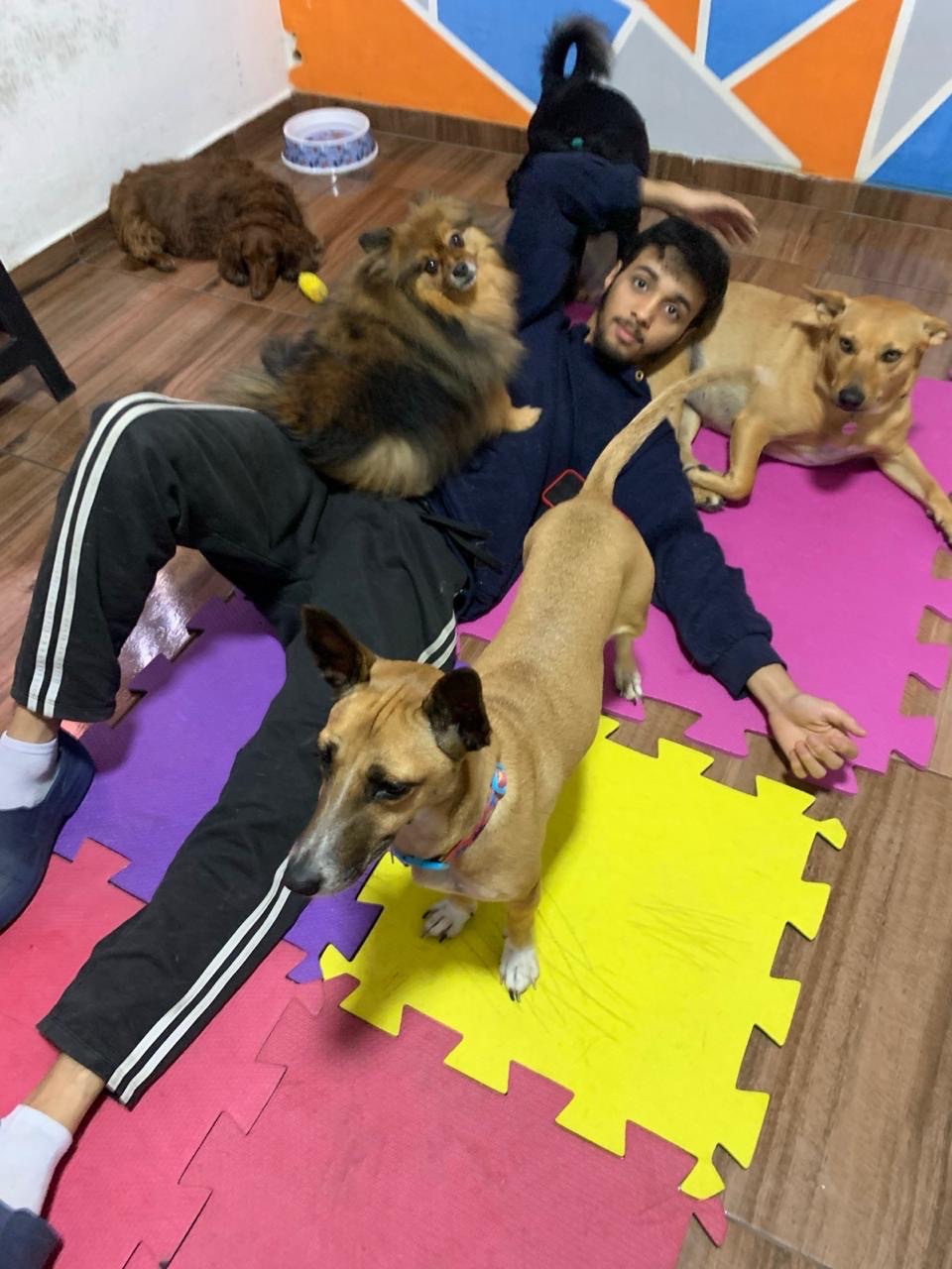 image-10