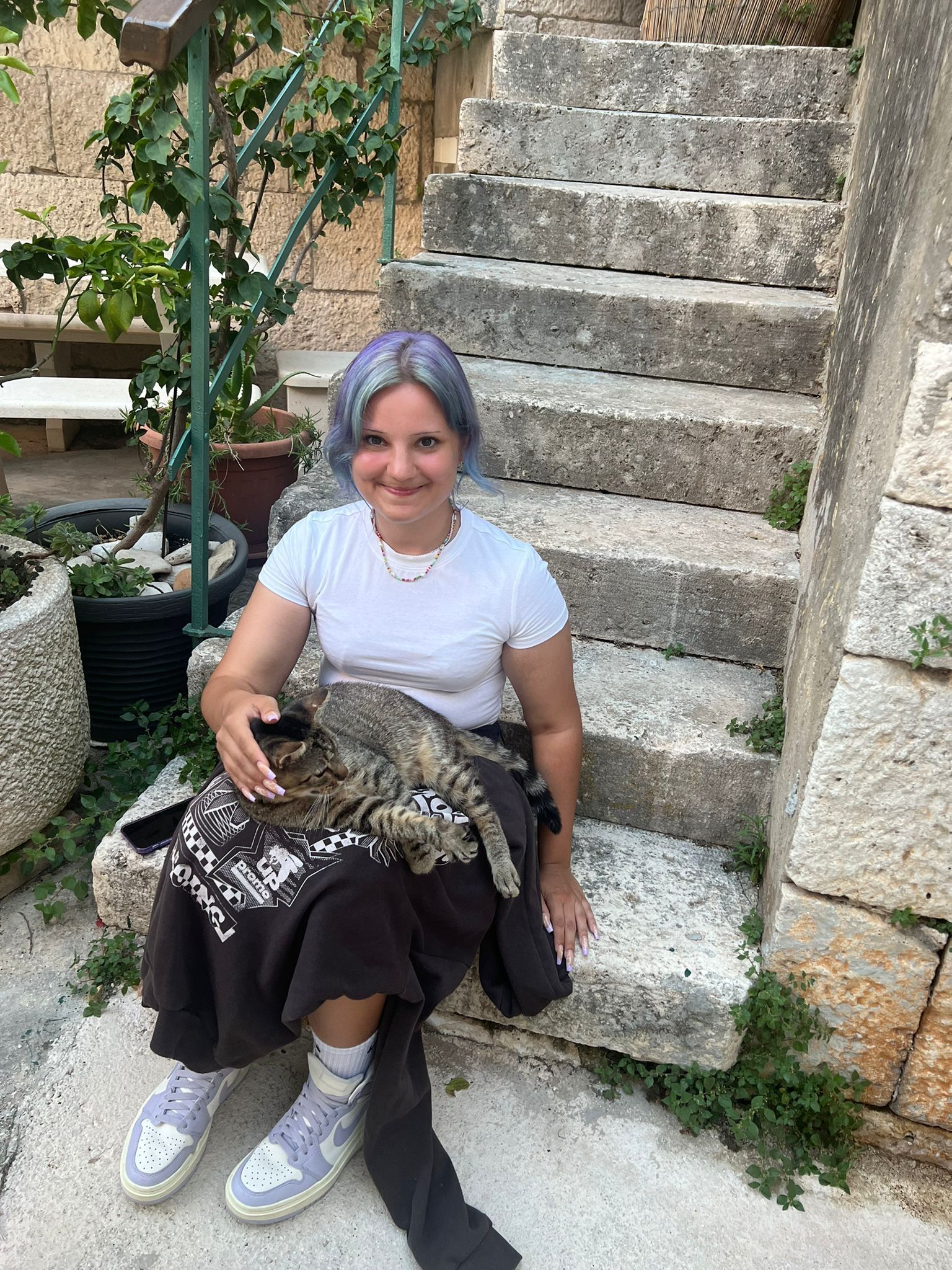 image-6
